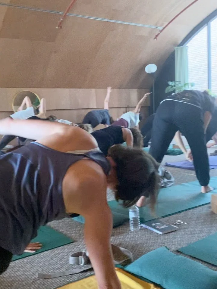 Thank you everyone who came to &lsquo;the art of grounding&rsquo; autumn day retreat in #camden - 

Such a gorgeous afternoon of deep grounding, connection, vagal nerve stimulation via breathwork, Dao flow and yin yoga&hellip; 

Sign up for mailer at