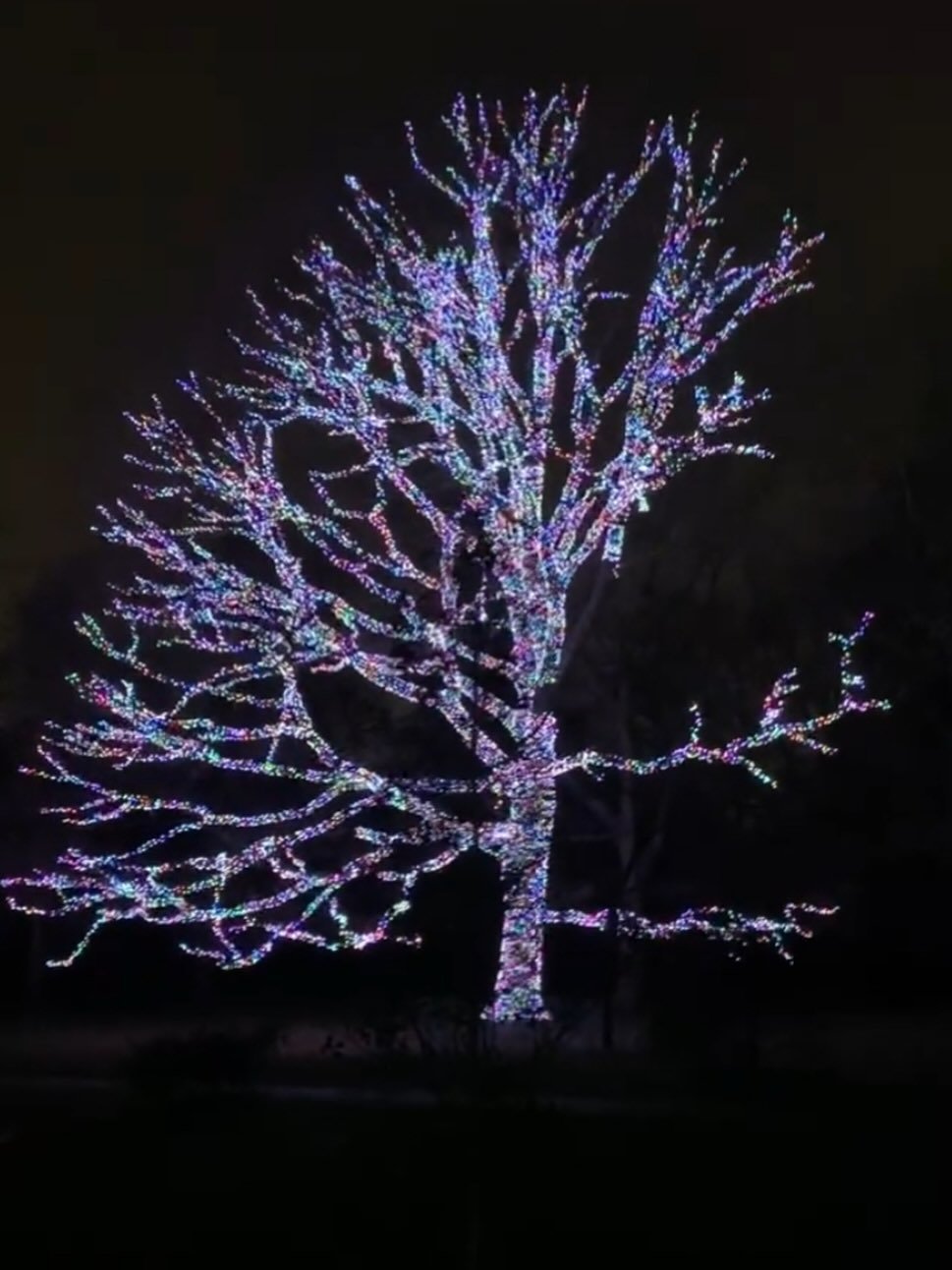 And just like that&hellip; the pine needles, selotape, frantic wrapping and fervent unwrapping is over&hellip; and the quiet work of new year begins.

Seasonally, we are way off until the actual new life of Spring. We are entering deep winter, which 