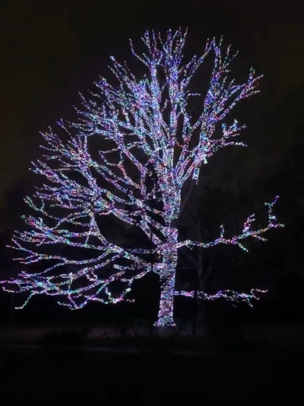 And just like that&hellip; the pine needles, selotape, frantic wrapping and fervent unwrapping is over&hellip; and the quiet work of new year begins.

Seasonally, we are way off until the actual new life of Spring. We are entering deep winter, which 