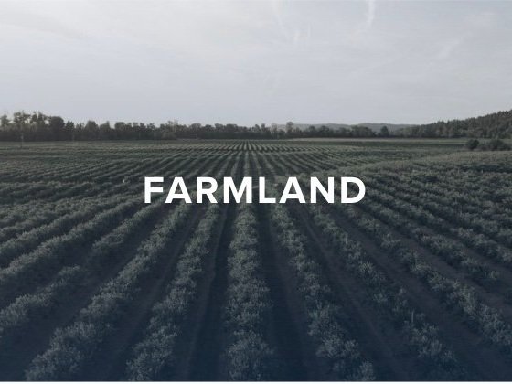farmland-reits.jpg