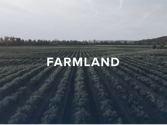 https://research.hoyacapital.com/invest-farmland-reits (Copy) (Copy) (Copy) (Copy) (Copy) (Copy) (Copy) (Copy) (Copy) (Copy) (Copy) (Copy) (Copy) (Copy) (Copy) (Copy) (Copy) (Copy) (Copy) (Copy (Copy)