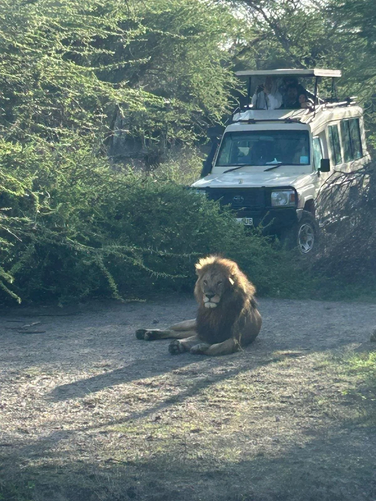 WhatsApp Image 2026-02-23 at 12.20.39.jpeg