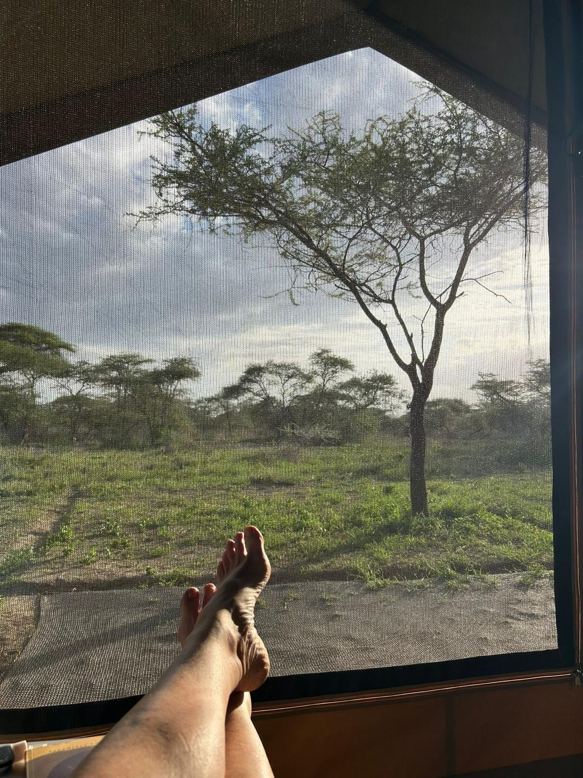 WhatsApp Image 2026-02-23 at 12.20.37.jpeg