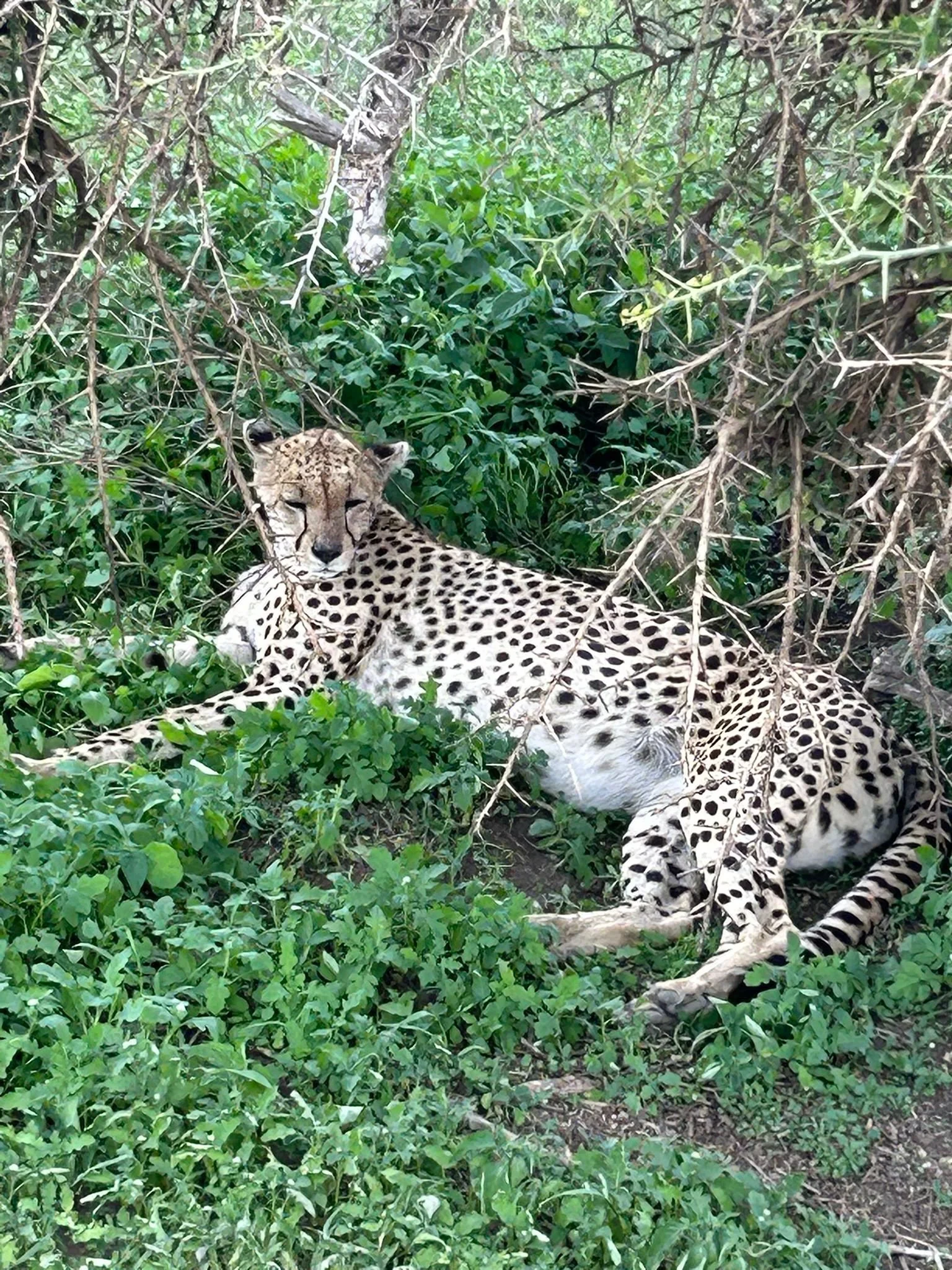 WhatsApp Image 2026-02-23 at 12.19.40.jpeg