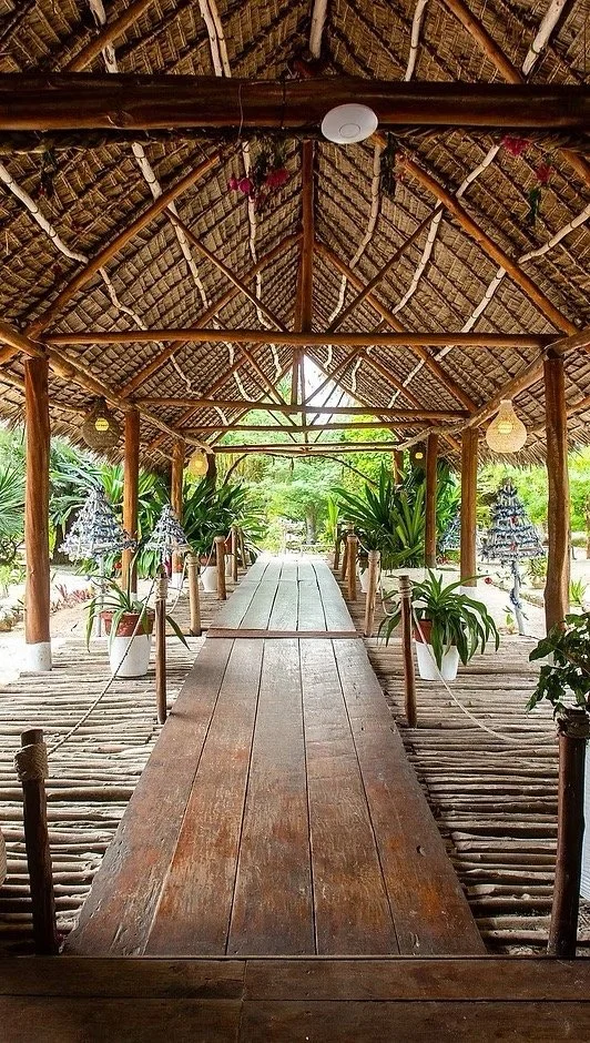 90b492_1c7b48aea2a540aeaa137edb38fb3d16~mv2 Large.jpeg