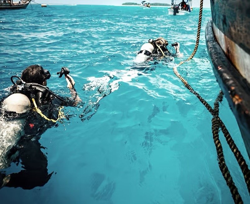 540c80d12dccfb34b071e5c87f7edc43fb4f7a139fc571d3f0a22299f95d3454_edited Large.jpeg