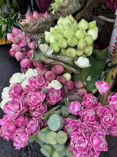 Lotus all sorts at market.jpeg