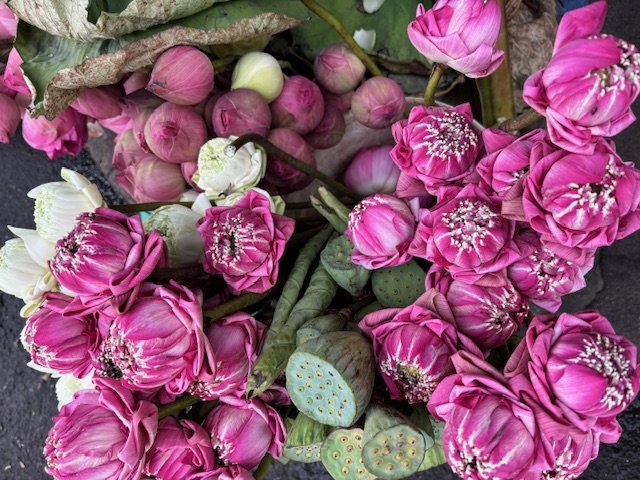 Lotus market close up.jpeg