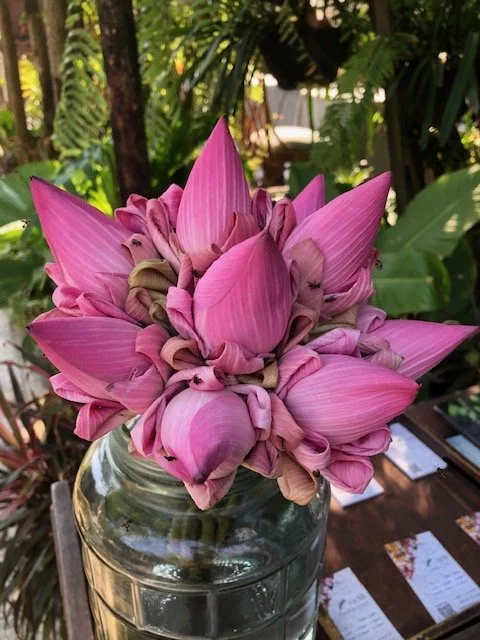 Lotus bunch folded.jpeg