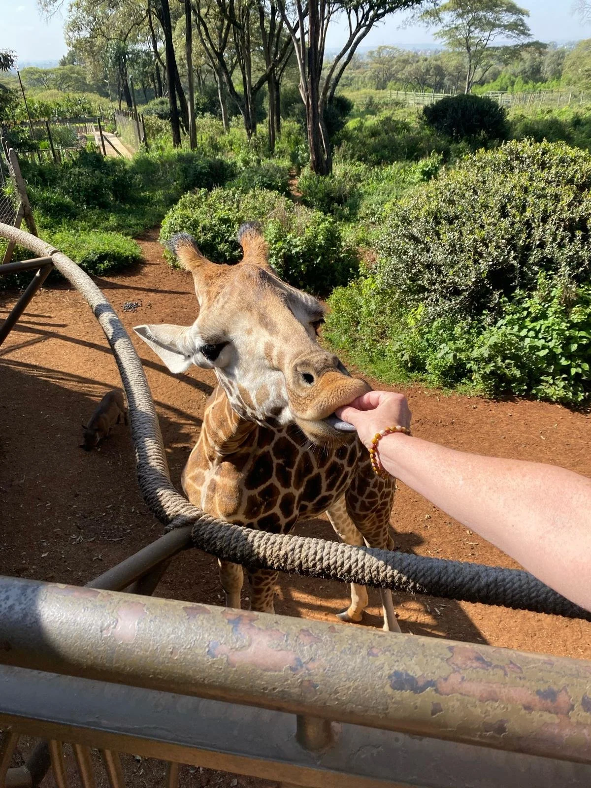 WhatsApp Image 2026-03-10 at 16.30.19.jpeg