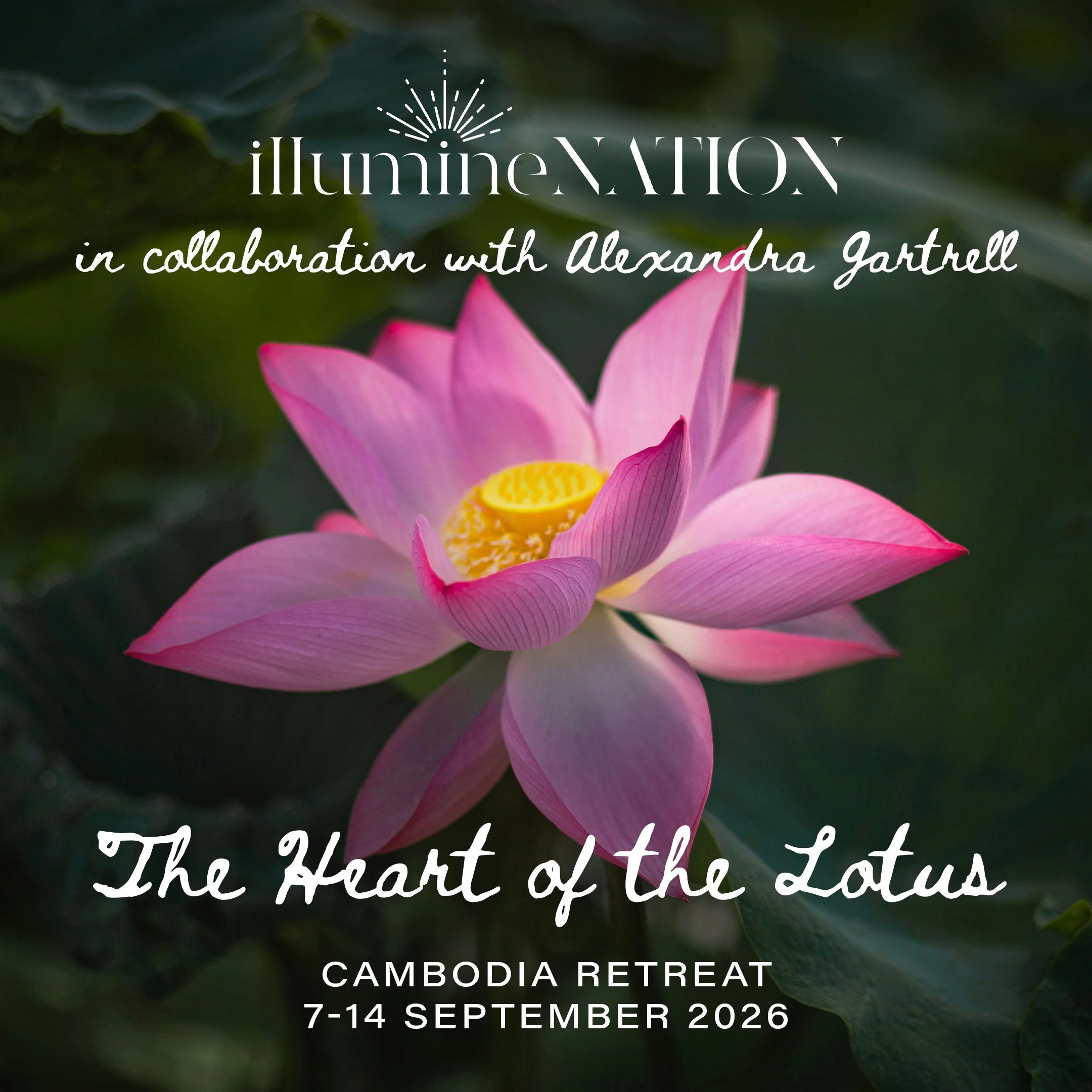 The Heart of the Lotus - Cambodia Retreat 2026