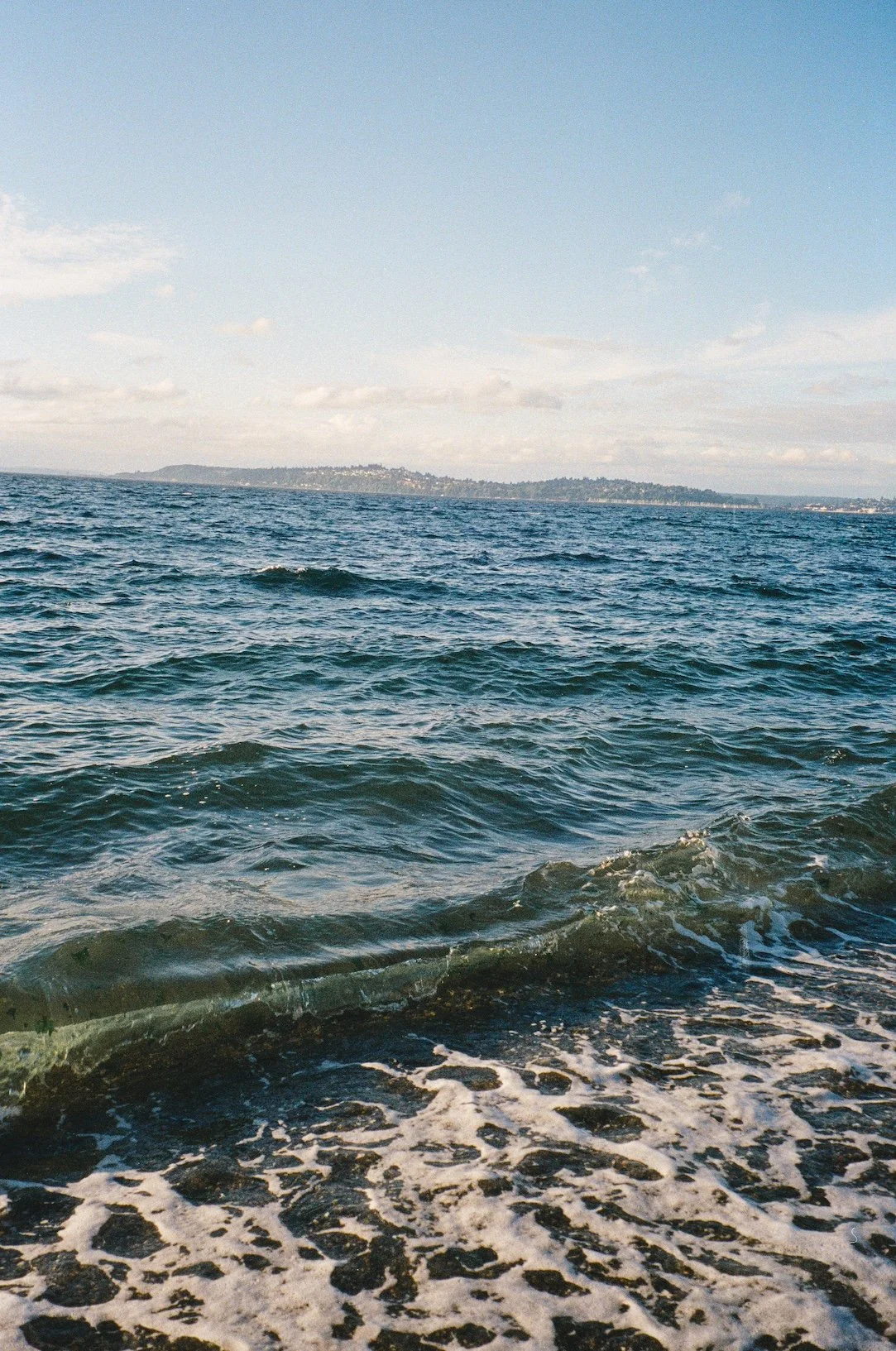 alki_beach_clayashworth11.jpg