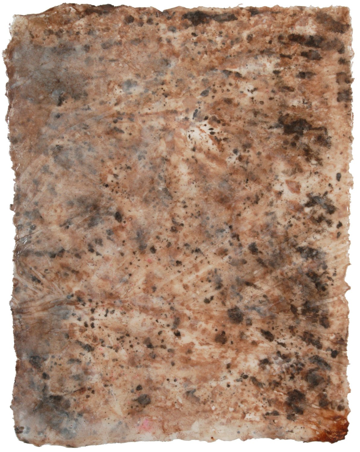Nedderman_T20_06_MonotypePaper5.jpg