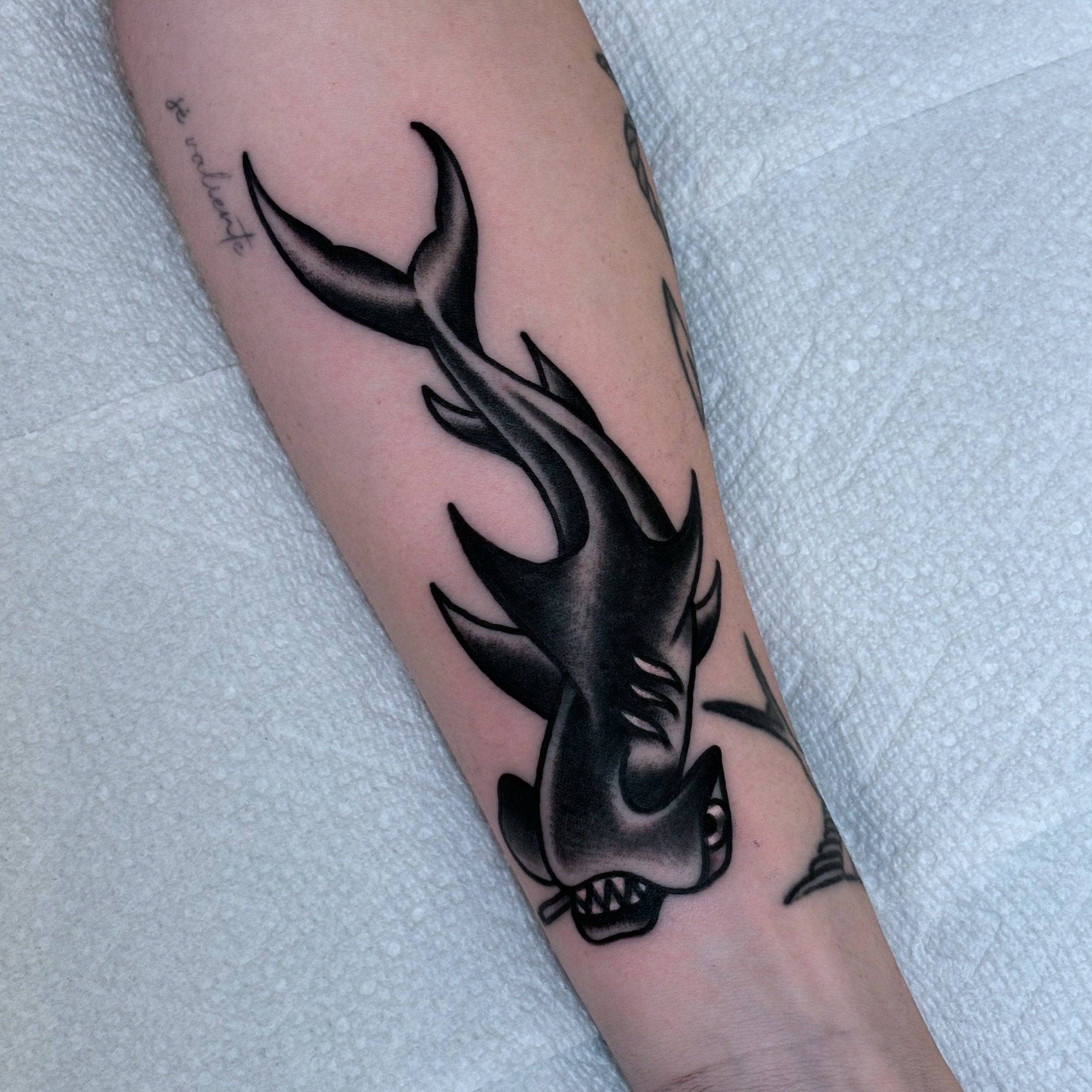 🚬🦈 @ellejleigh