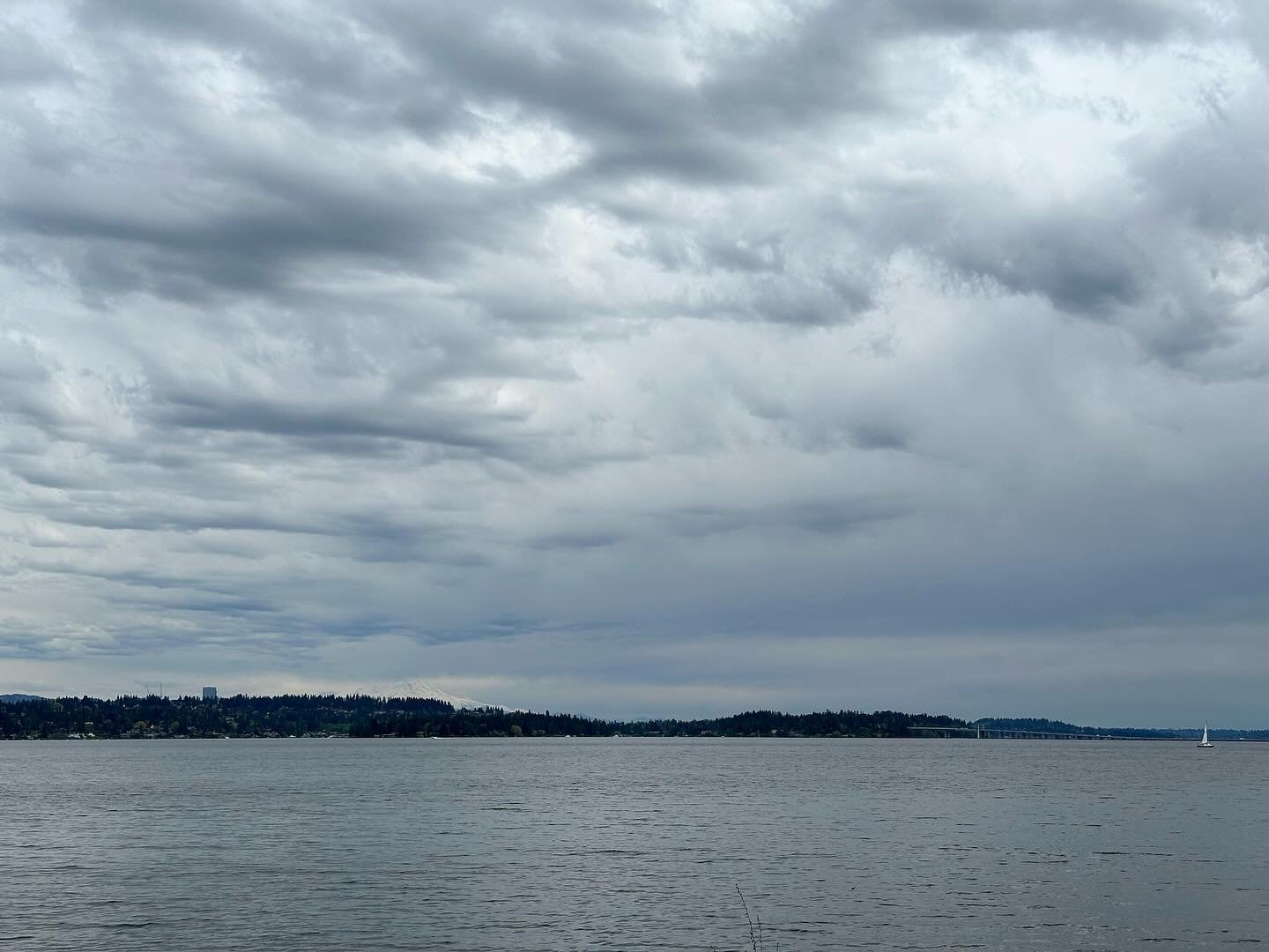 Mt Rainier is hiding in there. 
I went to the park yesterday looking for the Coopers Hawks I saw there a month ago.  The Ospreys have returned&hellip;

#pacificnorthwest #mtrainier #lakewashington #getoutside #seattle #nature #magnusonpark #clouds