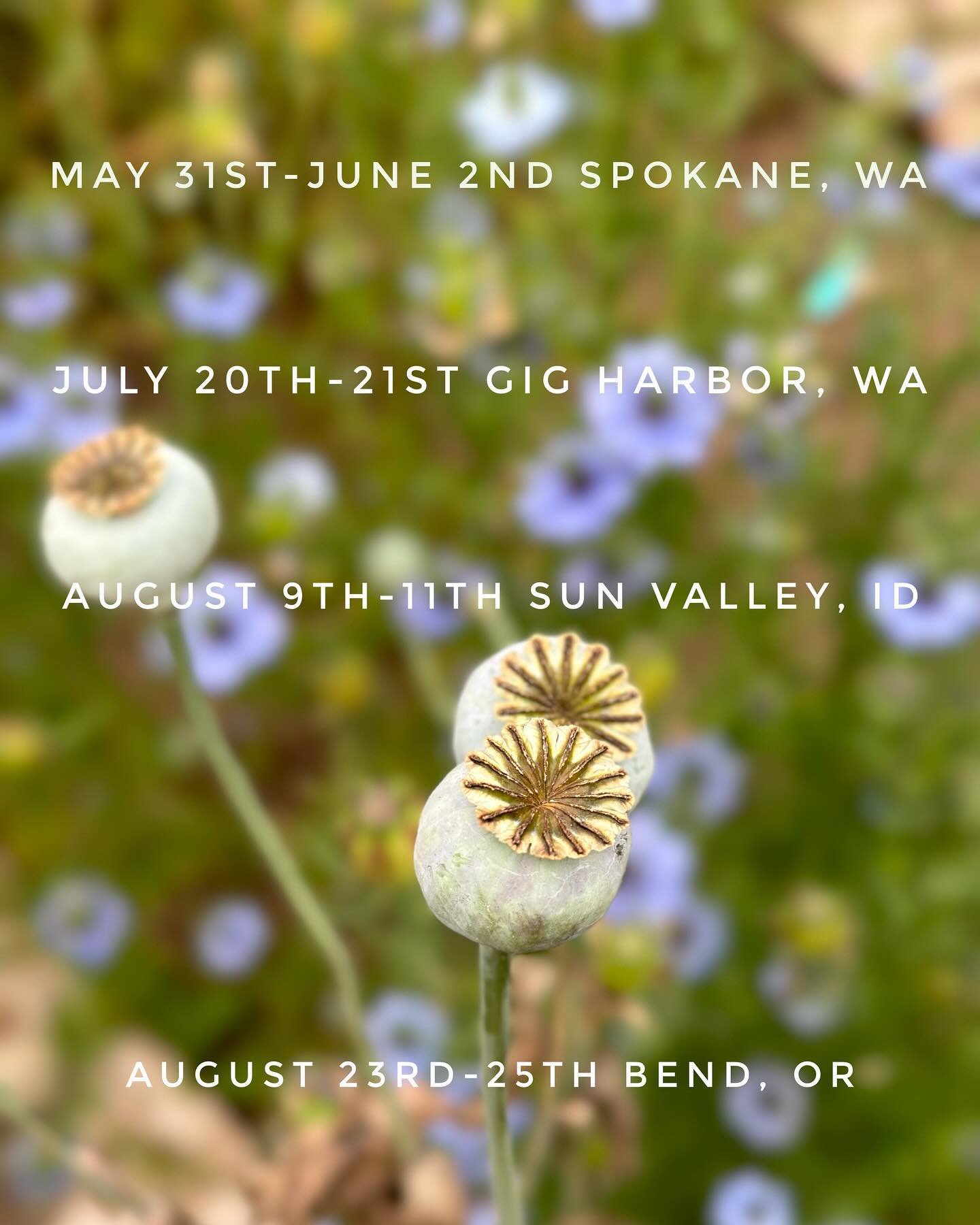 The summer art show schedule is set! ☀️ Hope to see you at one of these events around the Pacific Northwest.  All will be new for me this year! 🌈

#pacificnorthwest #artshows #leathercraftartist #finecraft #fineart #spokaneartfest #gigharborartfesti