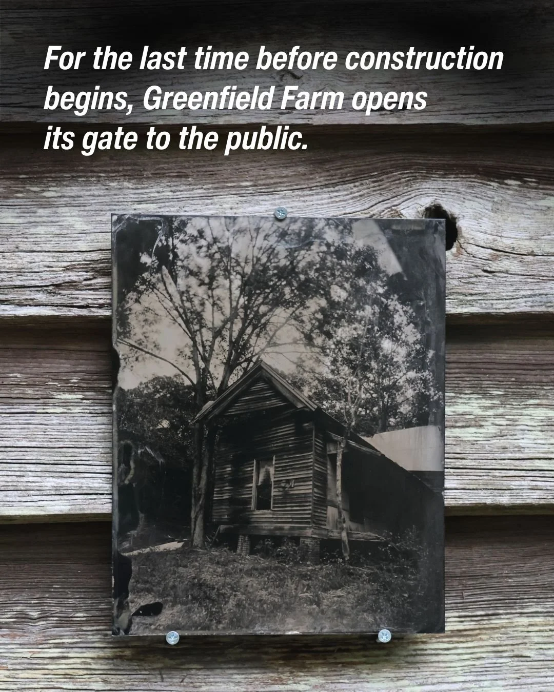 Join us this Sunday, October 19, at Greenfield Farm Writers Residency's Plein Air Invitational* 

SCHEDULE
4:00 - 5:00 pm - Observe artists at work and enjoy a cocktail from Wonderbird Spirits (and a few bites)
5:00 - 5:30 pm - Poetry and Award Prese