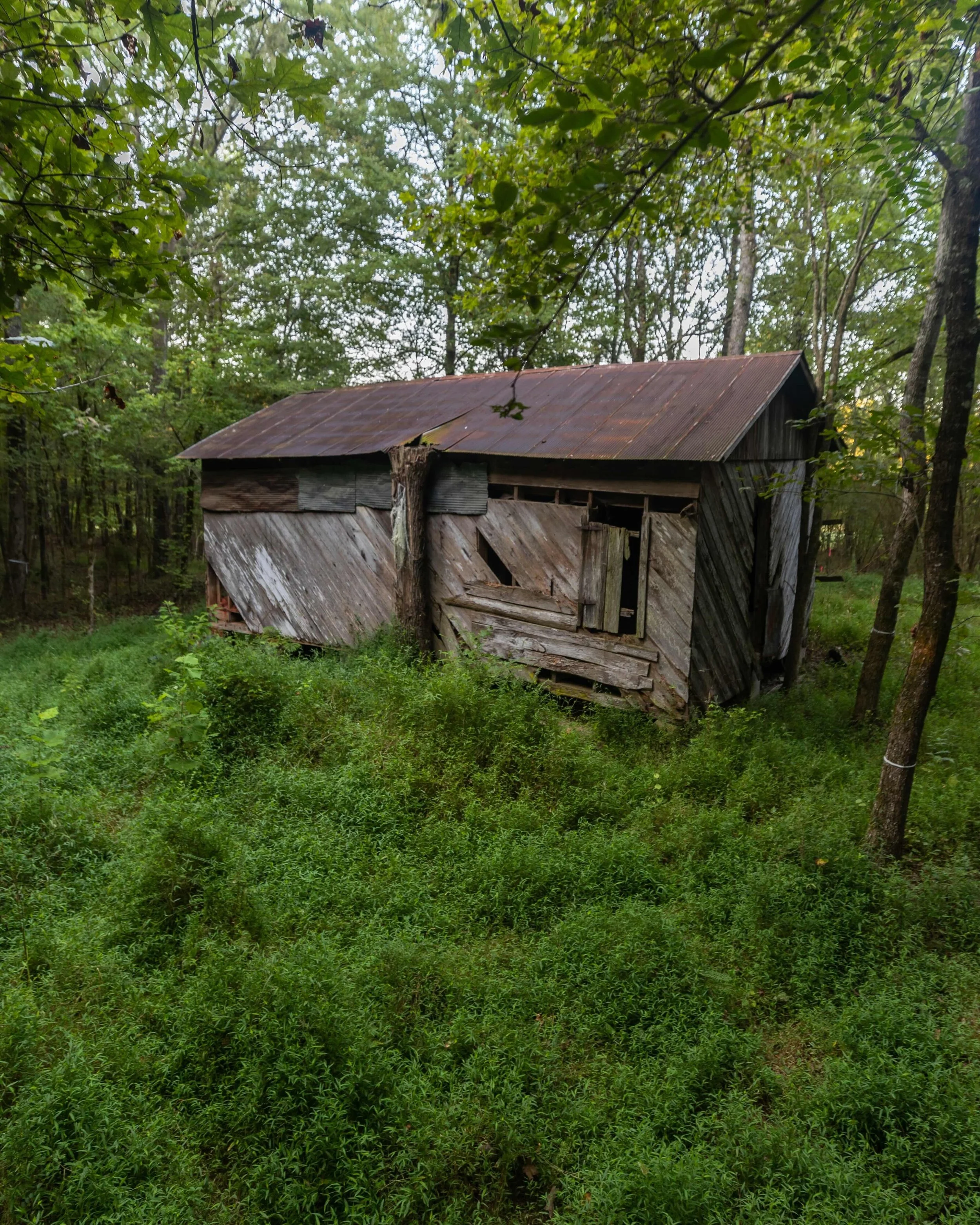 Come by @ummuseum tomorrow, Tuesday, July 21, from 12 to 1 pm for a conversation with @thadflee. 

Lee will discuss the process behind the work in Unvanquished Soil and his experience documenting Greenfield Farm over four seasons.
 
Drinks and desser