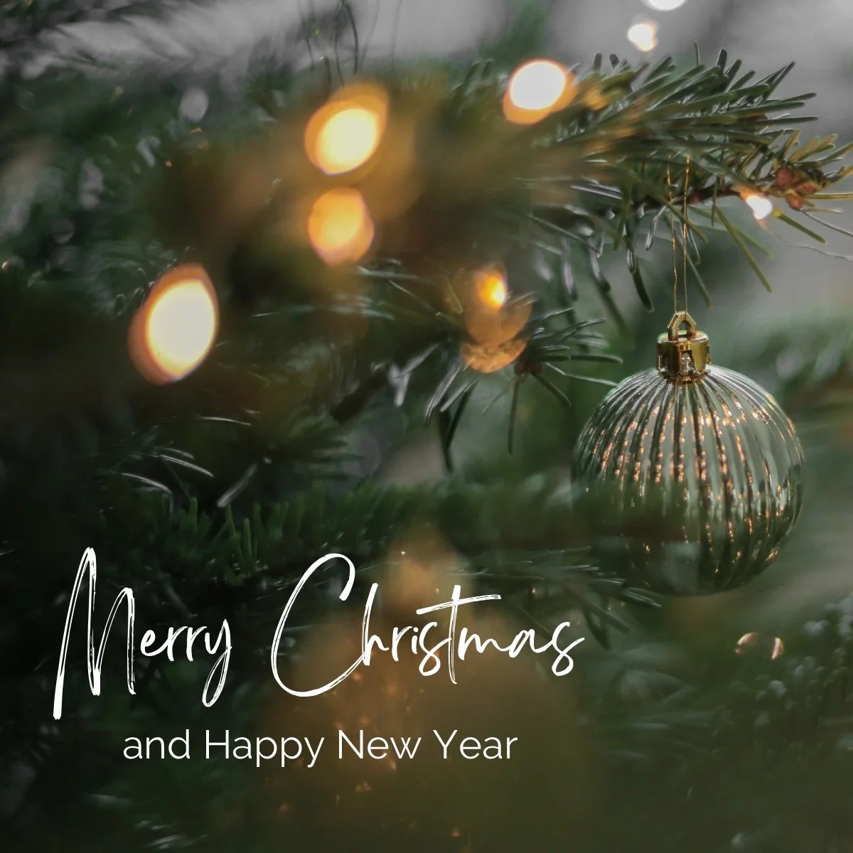 Merry Christmas from us to you!🎄
Wishing you and your family a joyful Christmas and a happy New Year. Come celebrate with us tonight &mdash; we&rsquo;re open from 5pm to 9pm! ✨🥂Call us for reservations 818-591-8055
&bull;
&bull;
&bull;
#christmas #