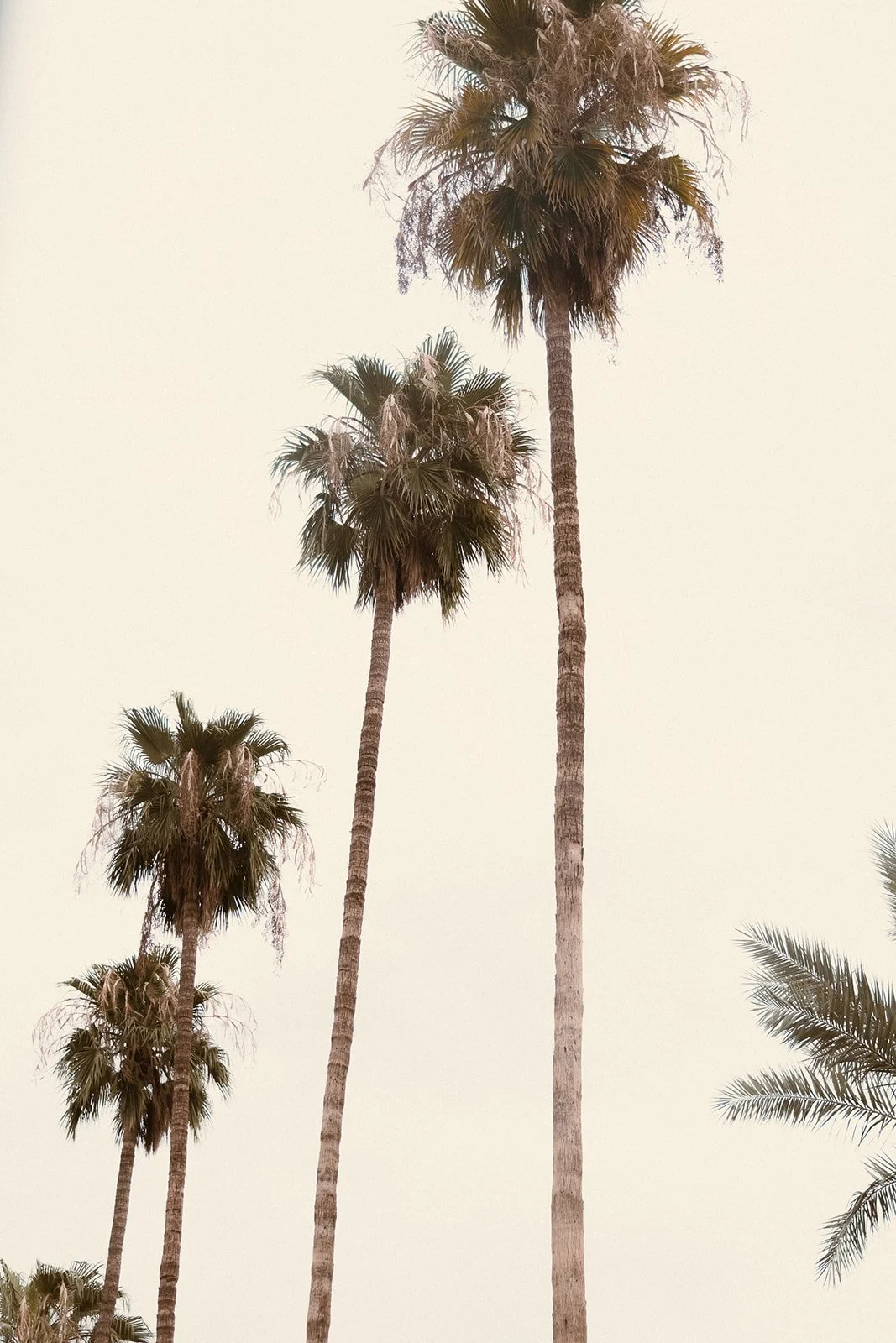 RHYSA-NICK-R5-2179_websize.jpg