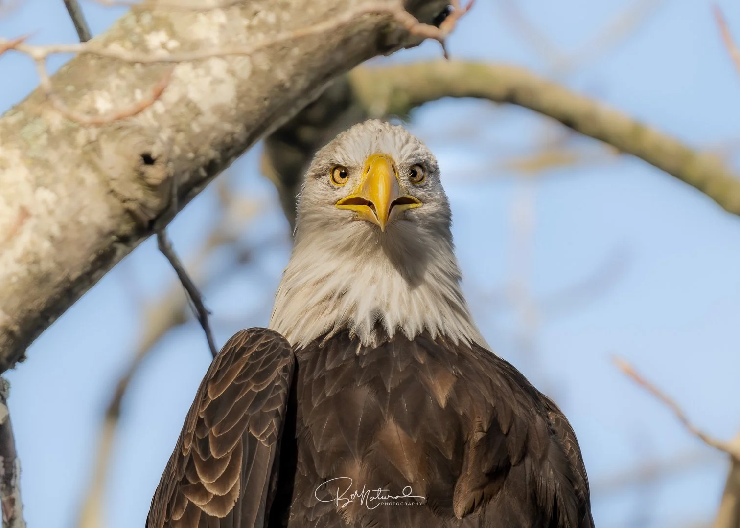 Looking At Ourselves