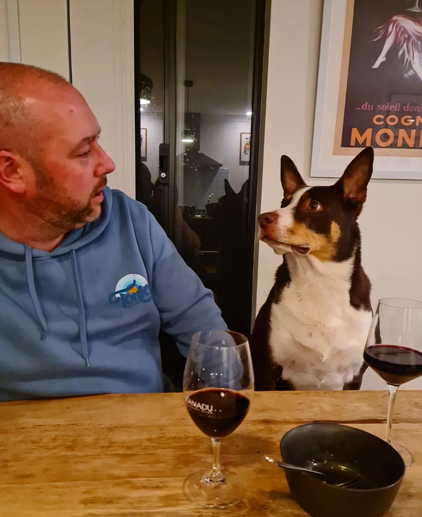 Just chatting about wine with Diggle. 
.
.
.
.
#wine #dog #tonic #winetime #dunsboroughlife #busselton #margaretriverregion