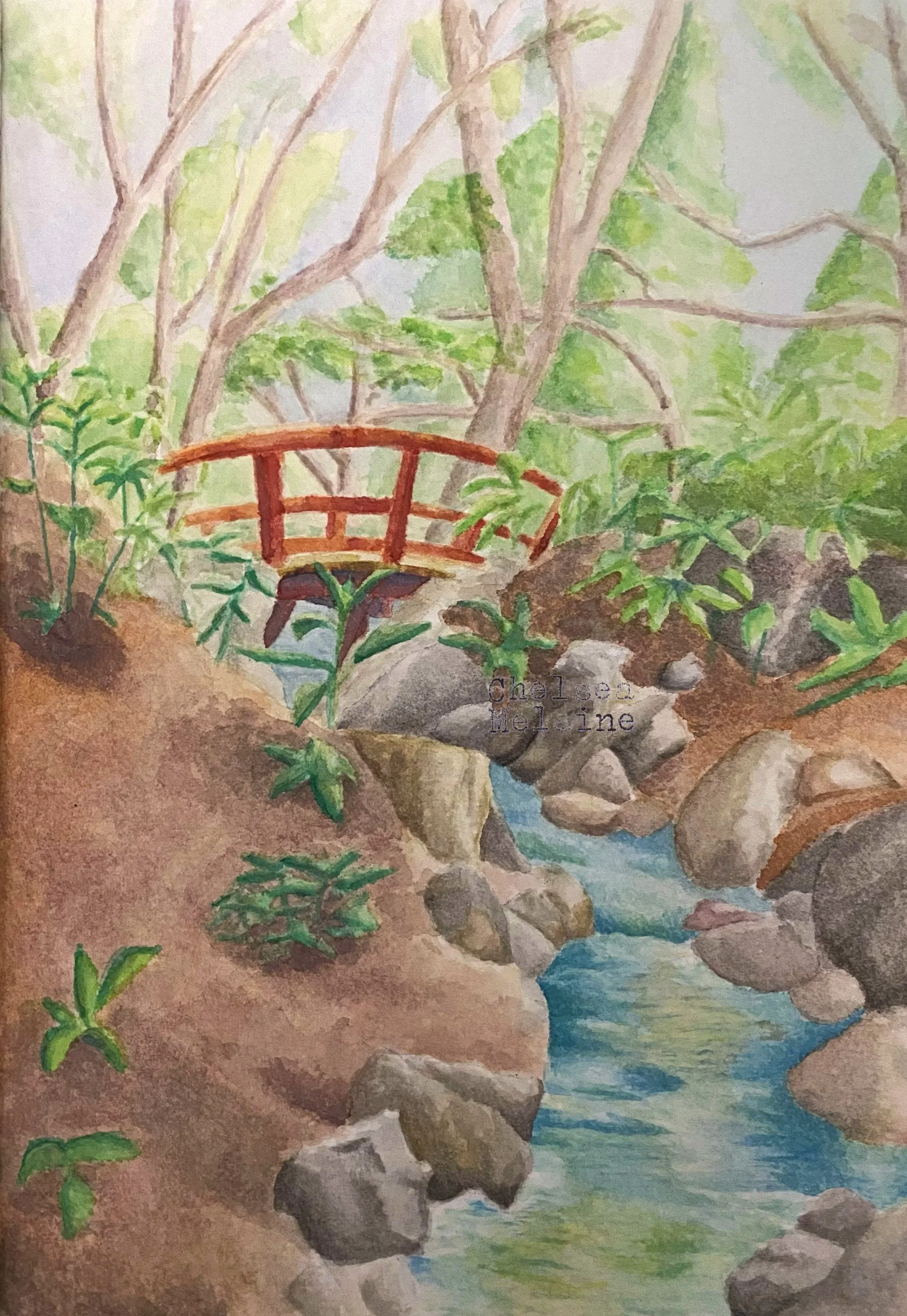 Auburn Botanic Garden: Watercolour