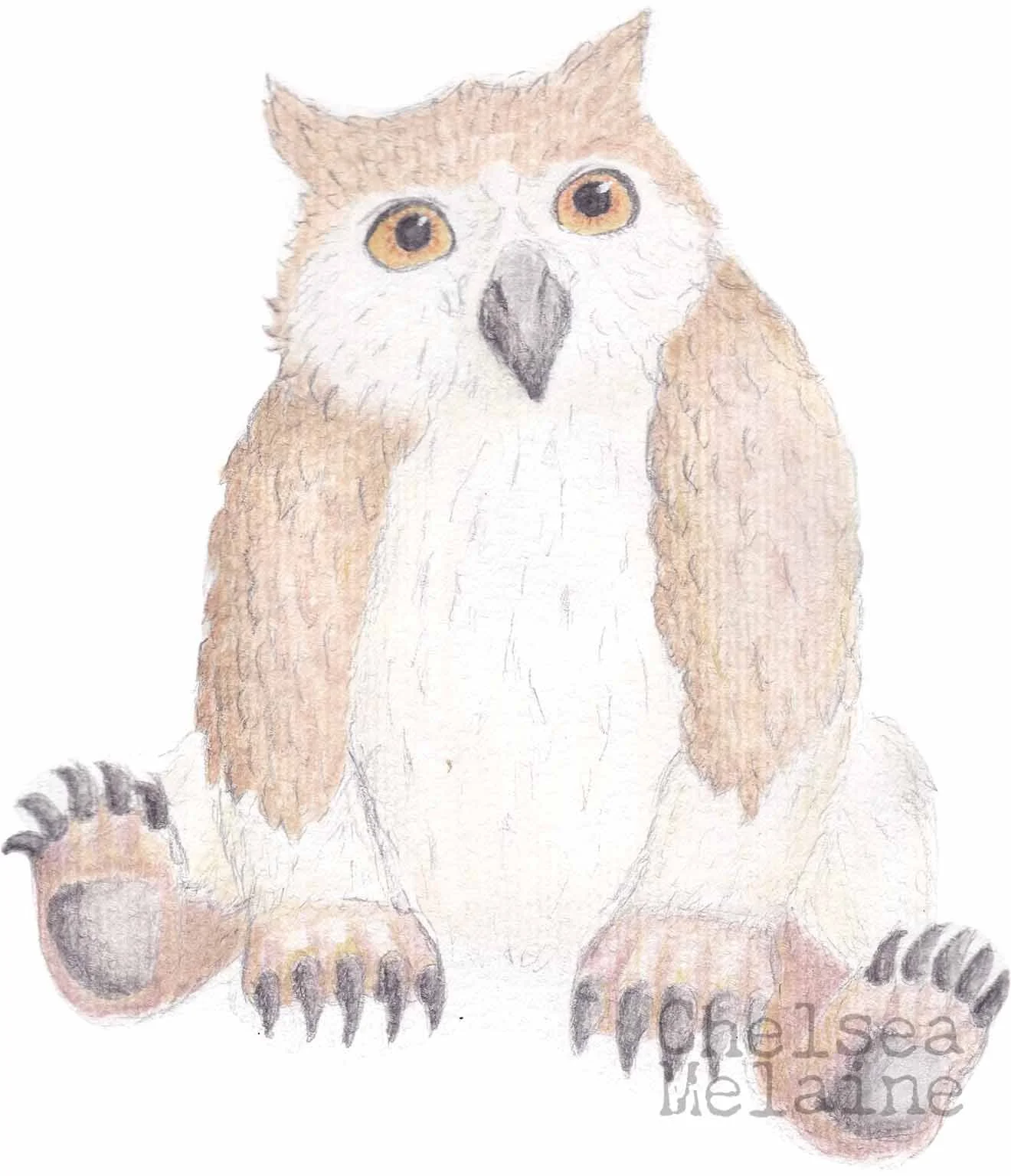 Owlbear: Watercolour and pencil