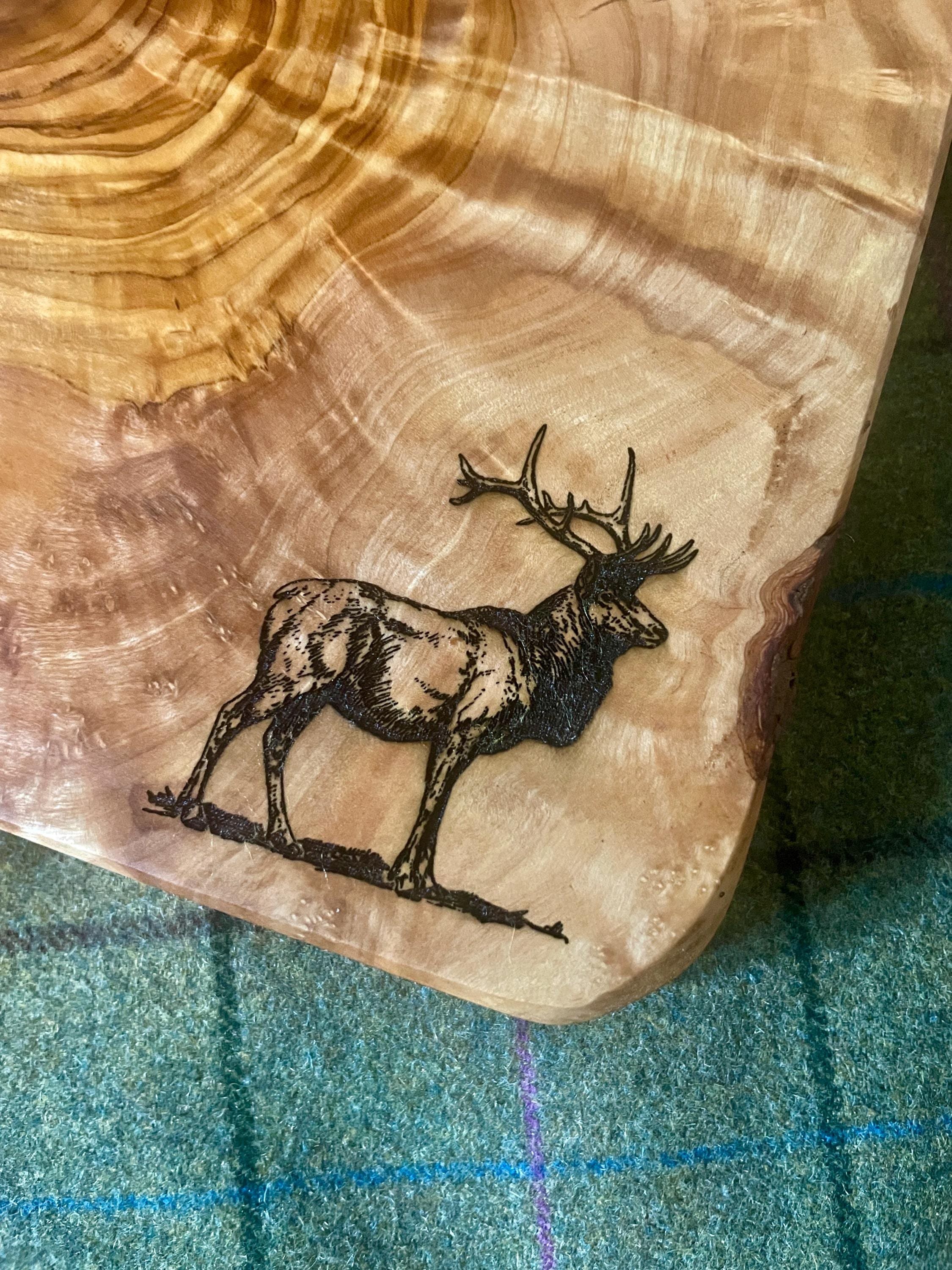 https://i.etsystatic.com/24209318/r/il/cbde4c/6349249919/il_fullxfull.6349249919_g41i.jpg