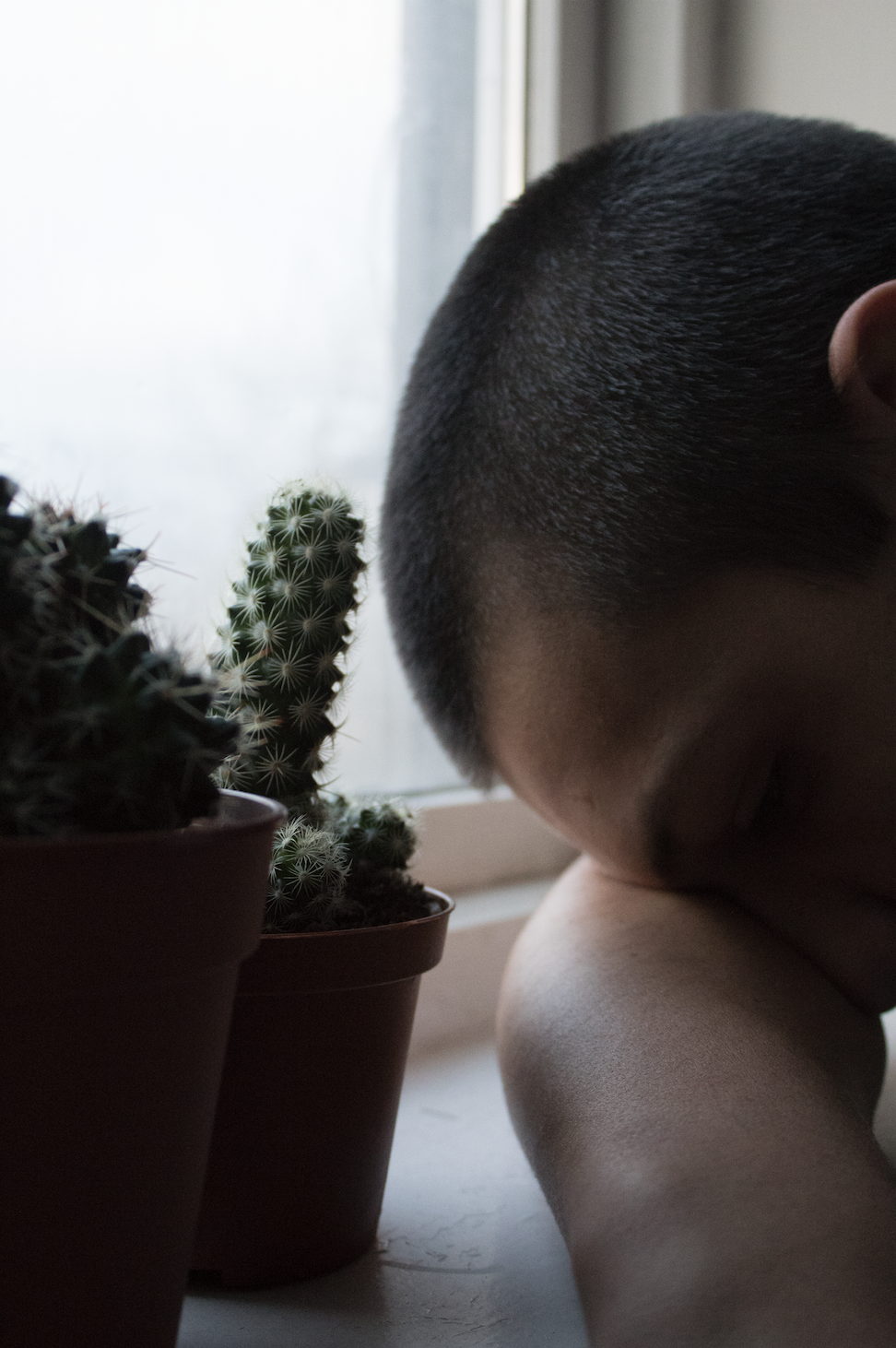 Screen Shot 2021-12-08 at 12.05.38.png