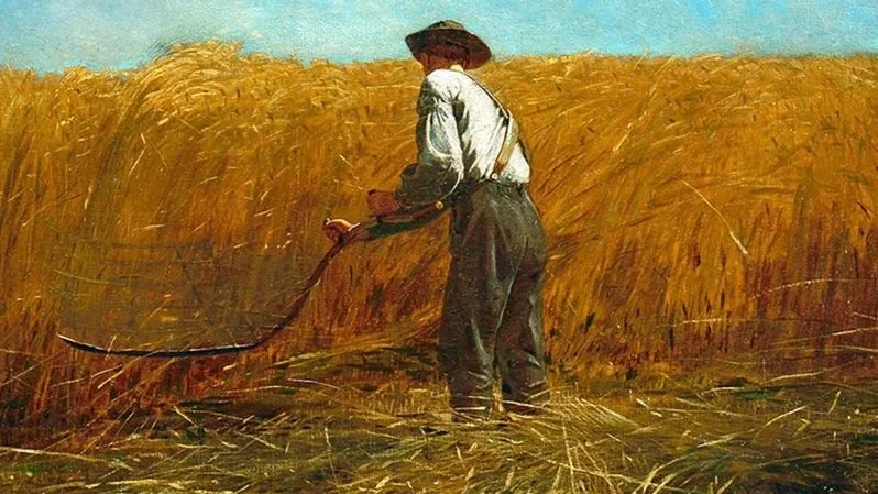 The NT Authors (Almost) Never Talk about Manliness and Masculinity | Substack