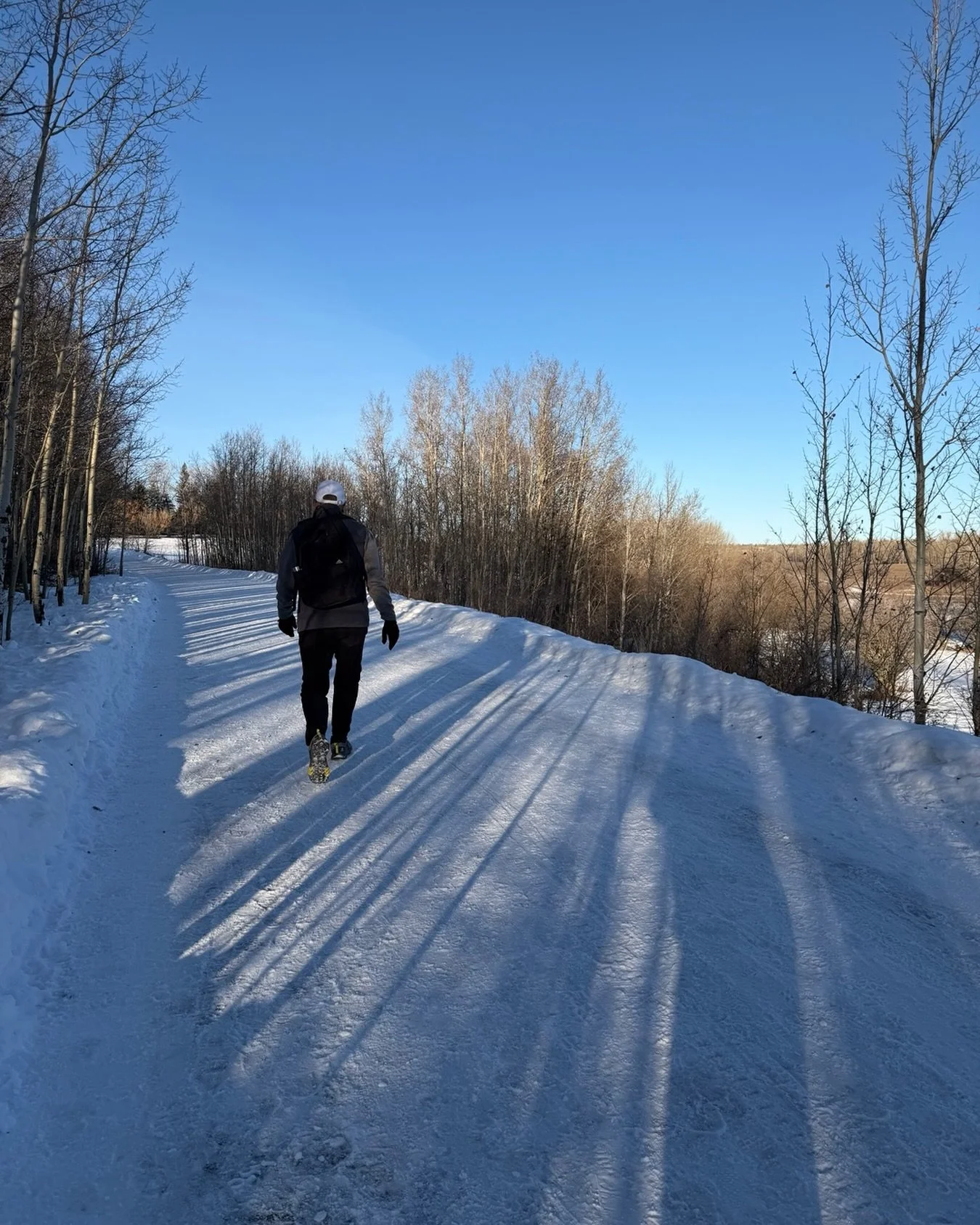The groundhogs say early spring and #Calgary agrees! 

Blue skies, sunshine and these warm temperatures, spring definitely feels like it&rsquo;s in the air already 🌱🌸☀️🕶️

Is it?