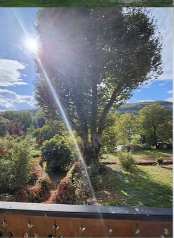 jardin.png