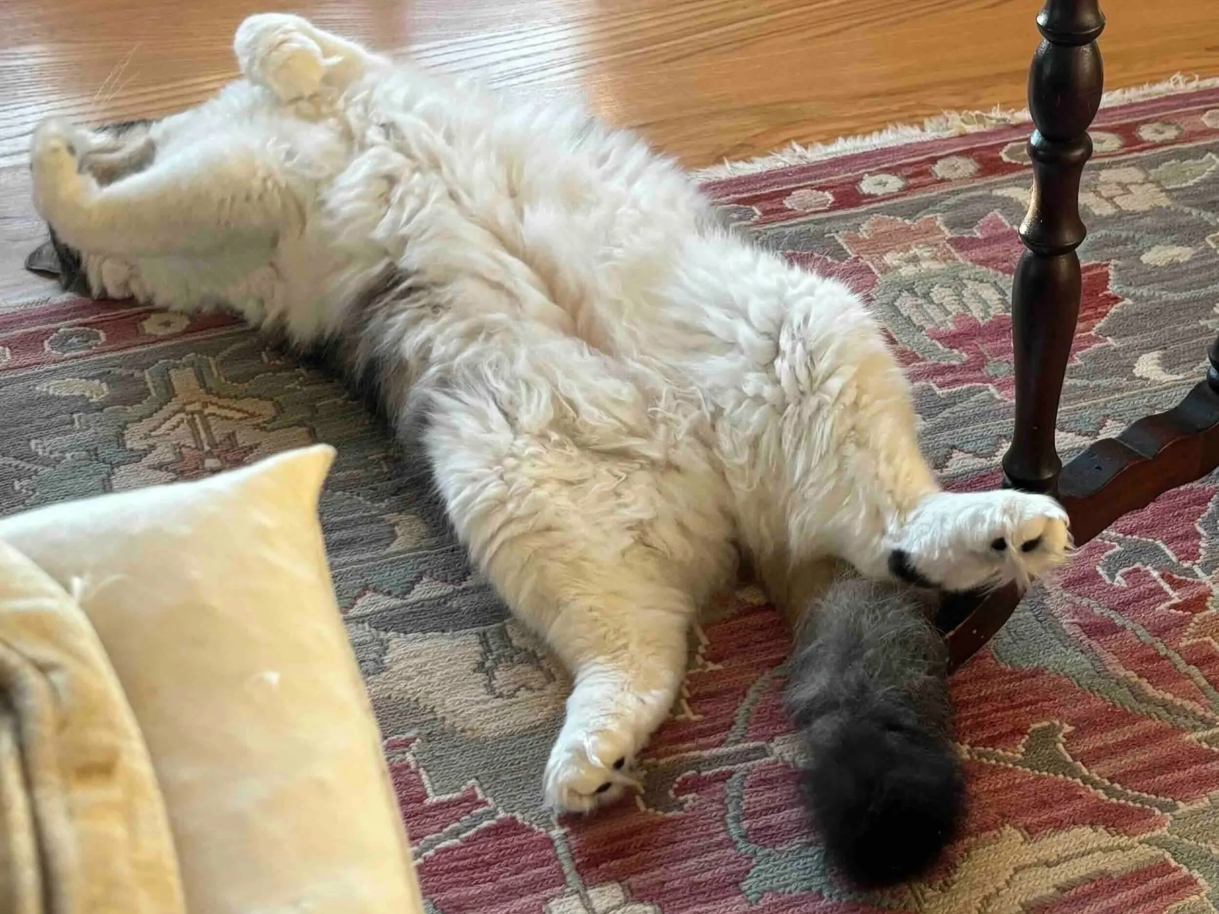 Tubby’s Exercise Regime