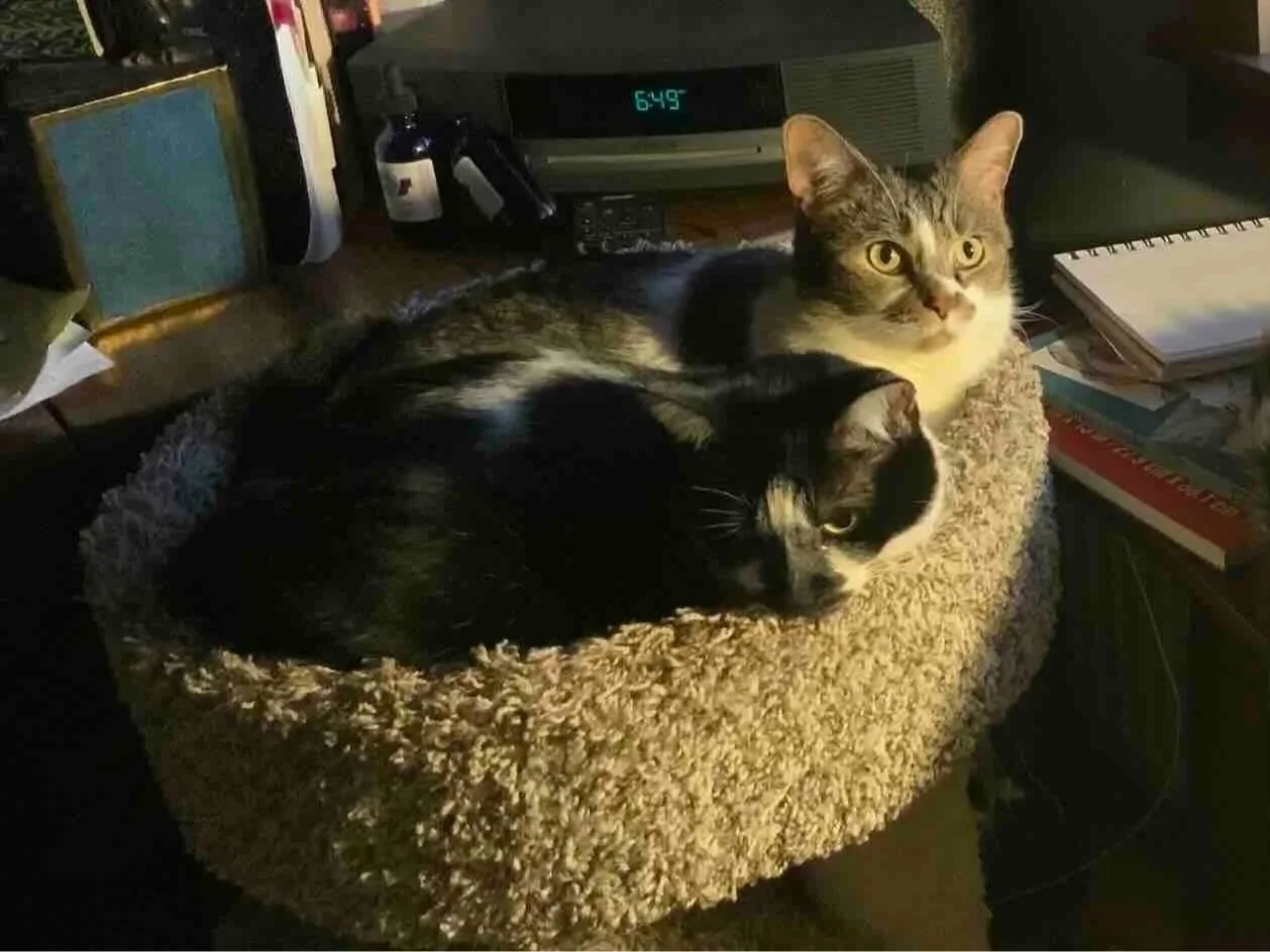 Online, Offline and Gratitude