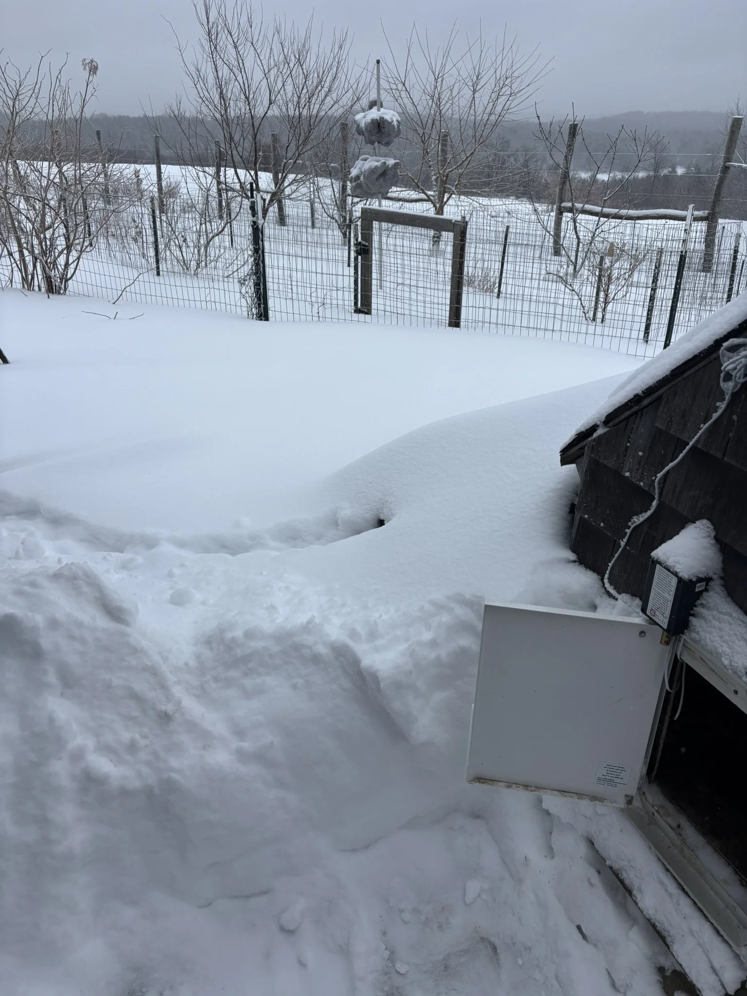 A track in the snow leading to the side of a chicken coop
