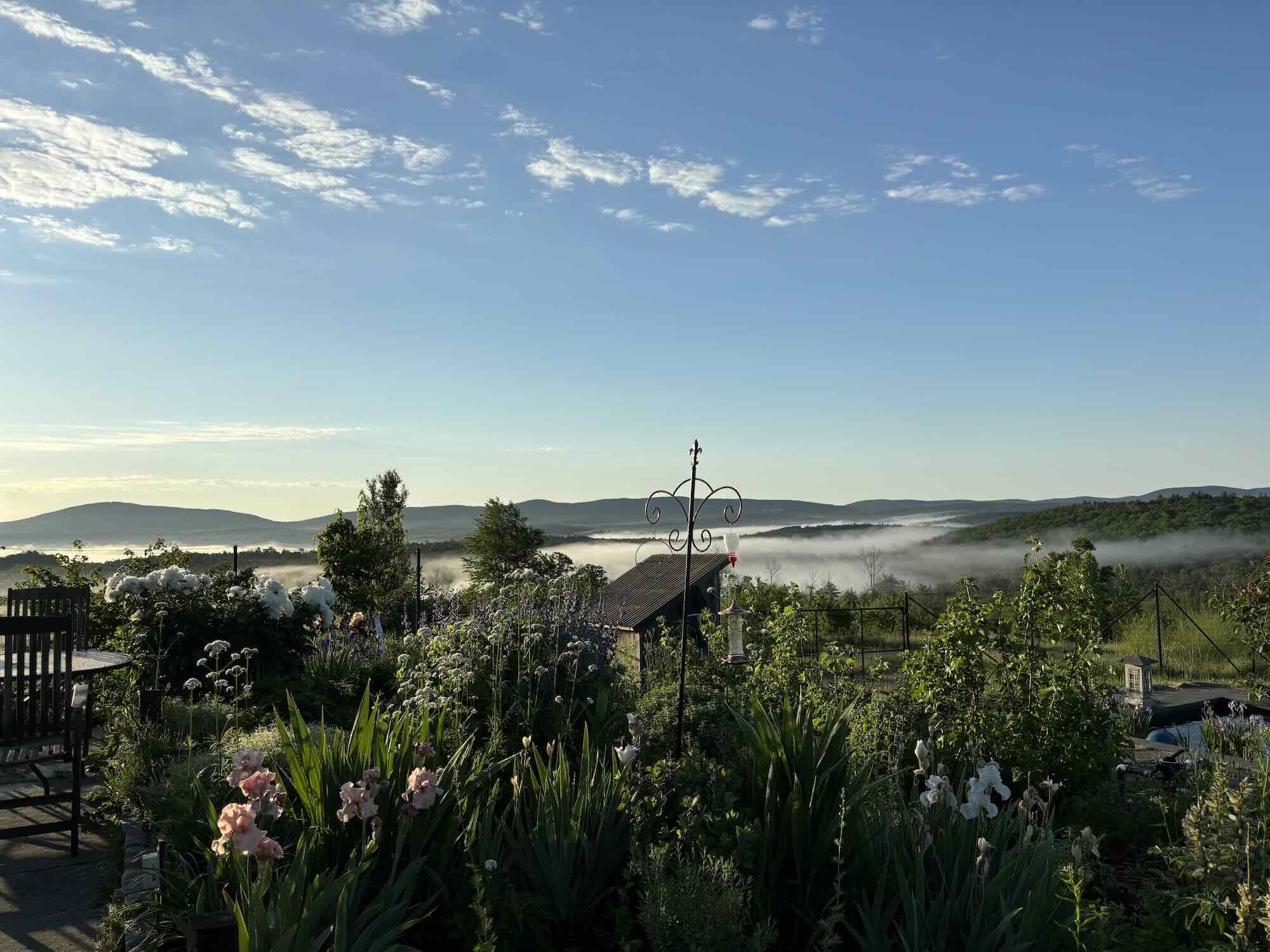 A landscape photo of a blooming flower garden with misty mountains in the distance
