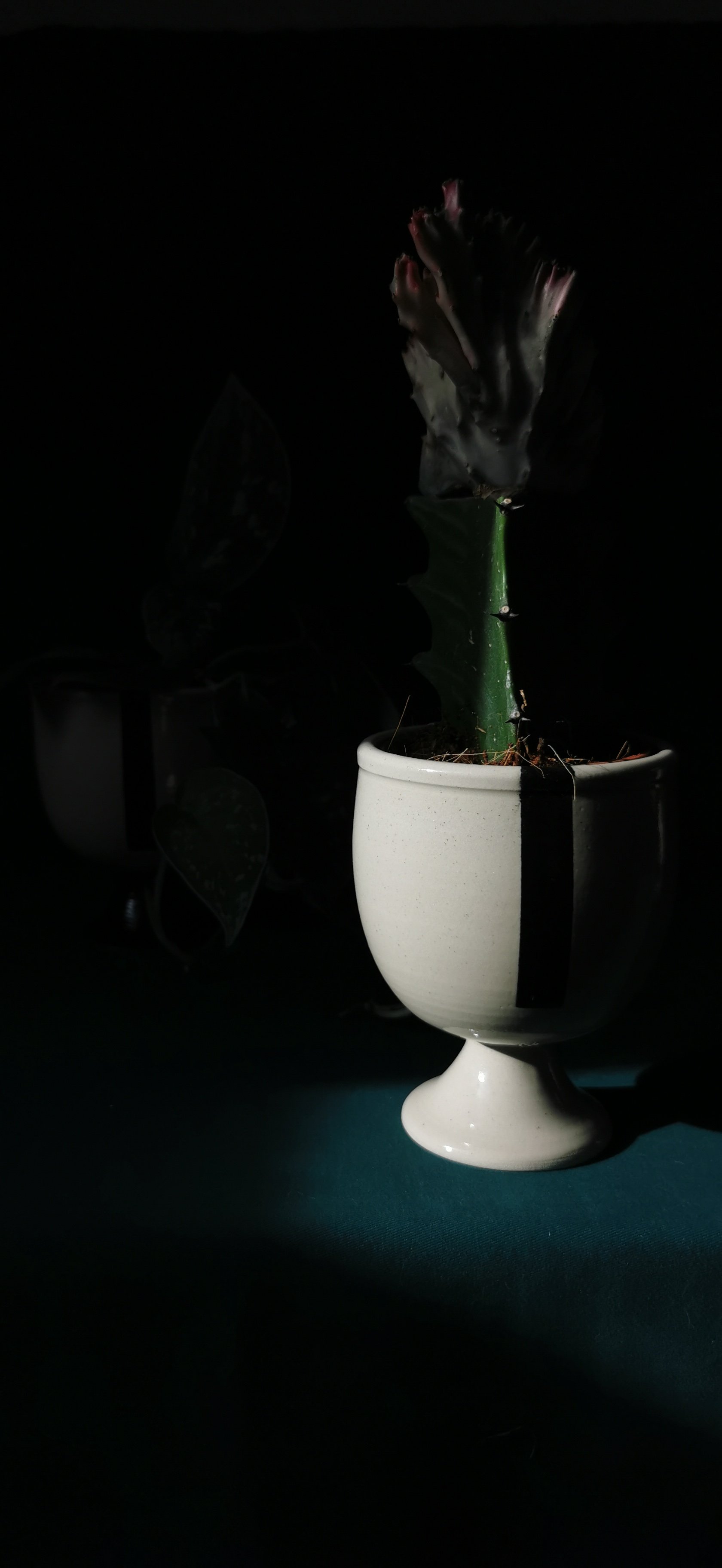 Cache-pot "Élise"