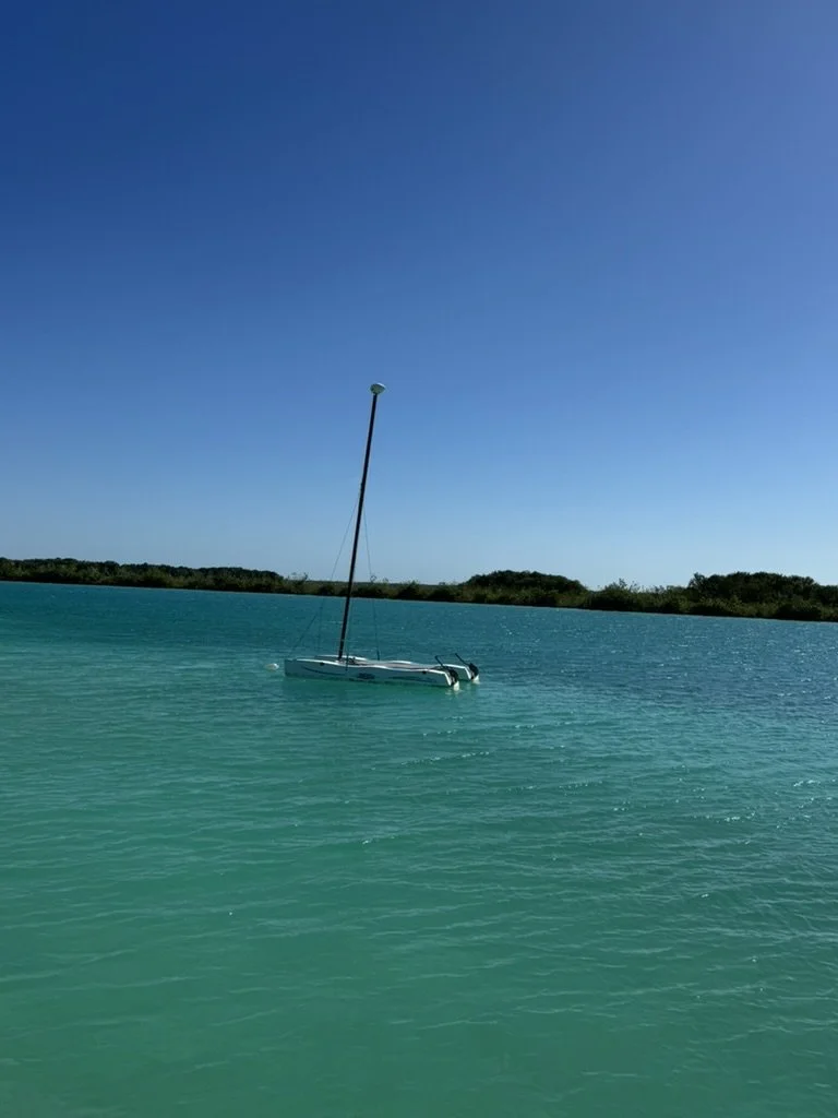 DE641C8E-574A-4222-8F15-CCCEDC0B8037_1_105_c.jpeg