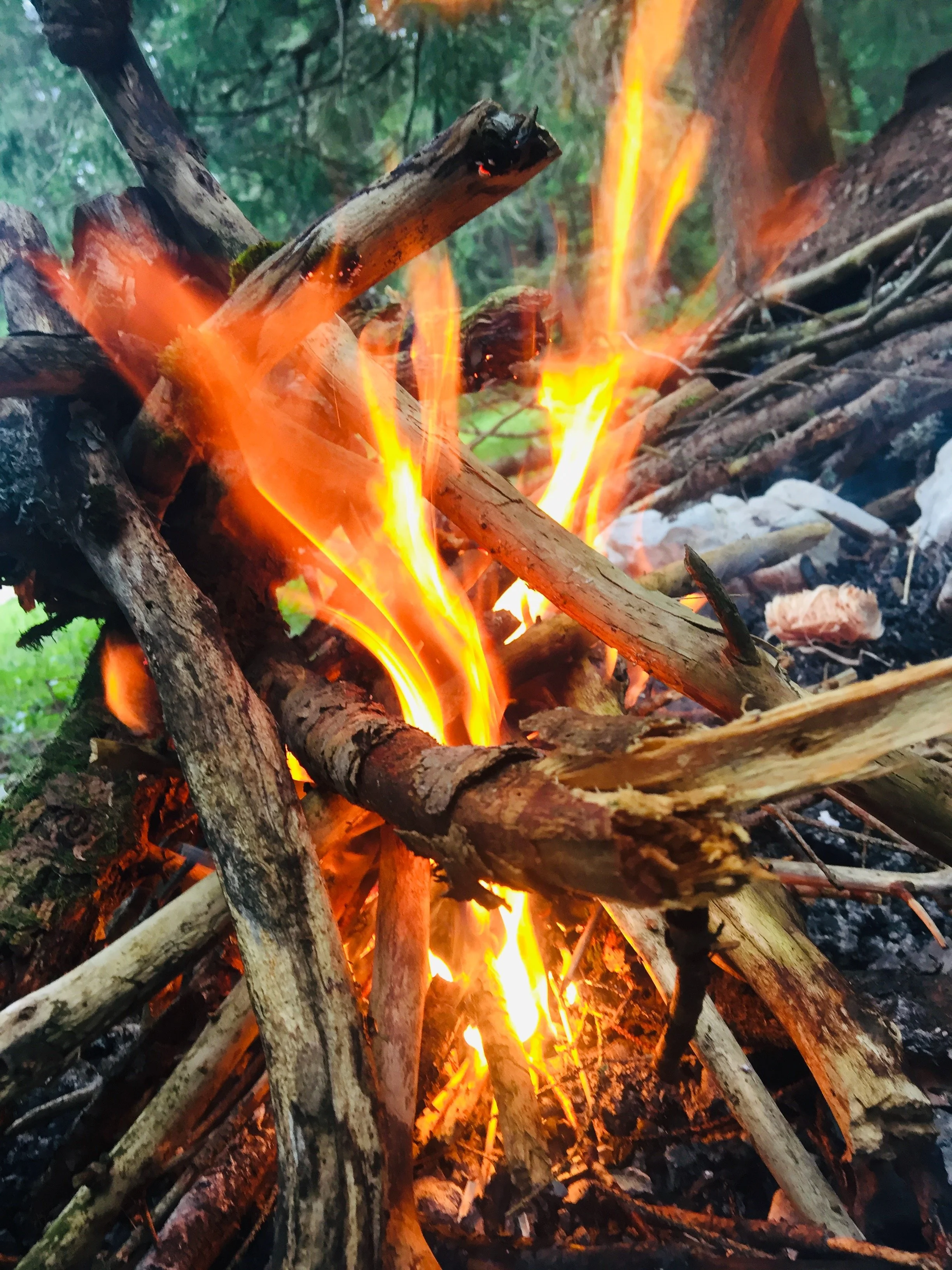 THE HUMAN NATURE QUEST - NORWAY