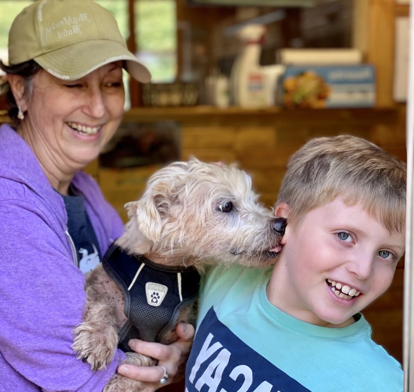 K9 Country Cottage