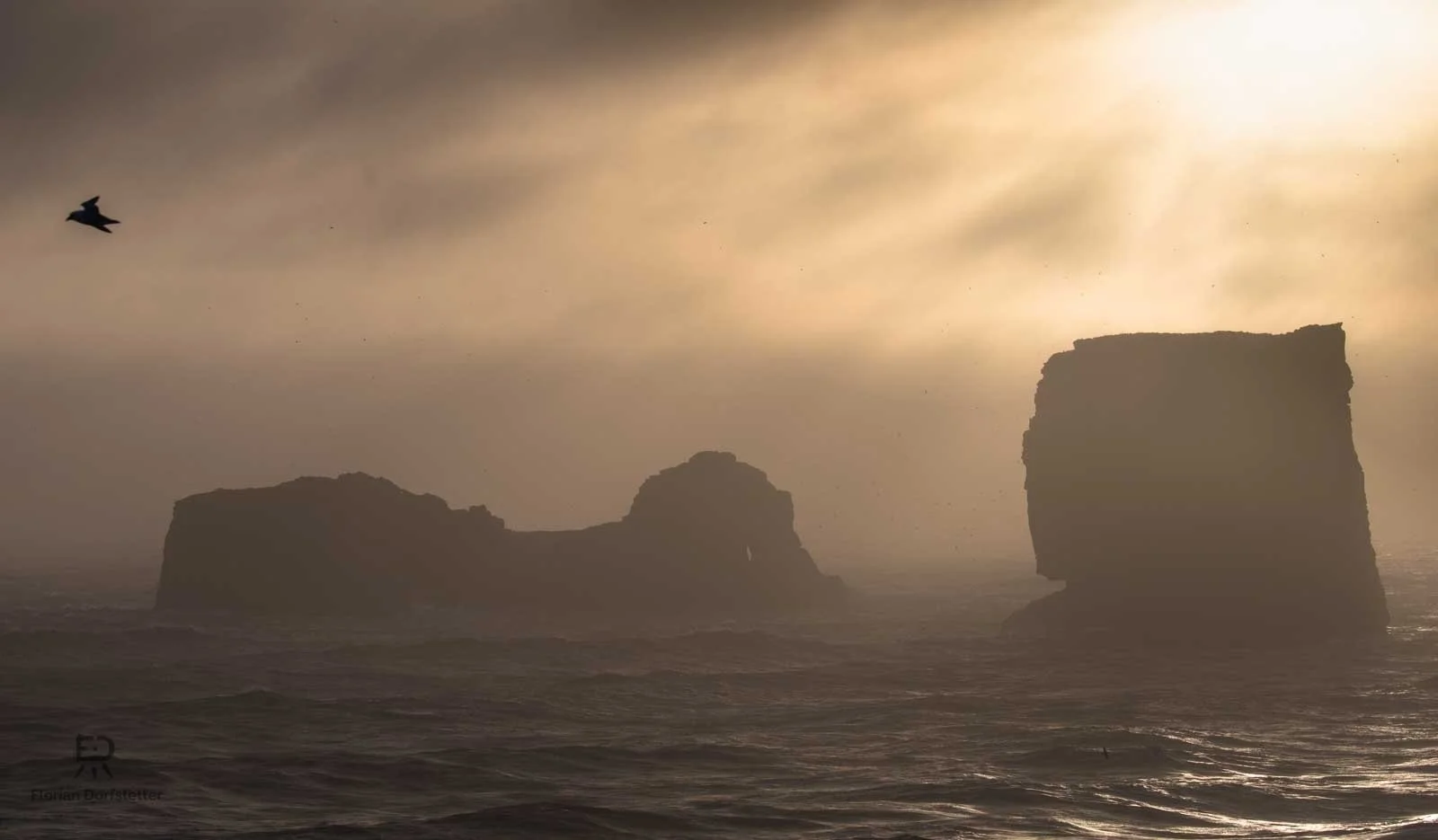 Island Dyrholaey.jpg