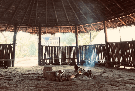 10 Best Peyote Retreats [for 2024] — SiteSee