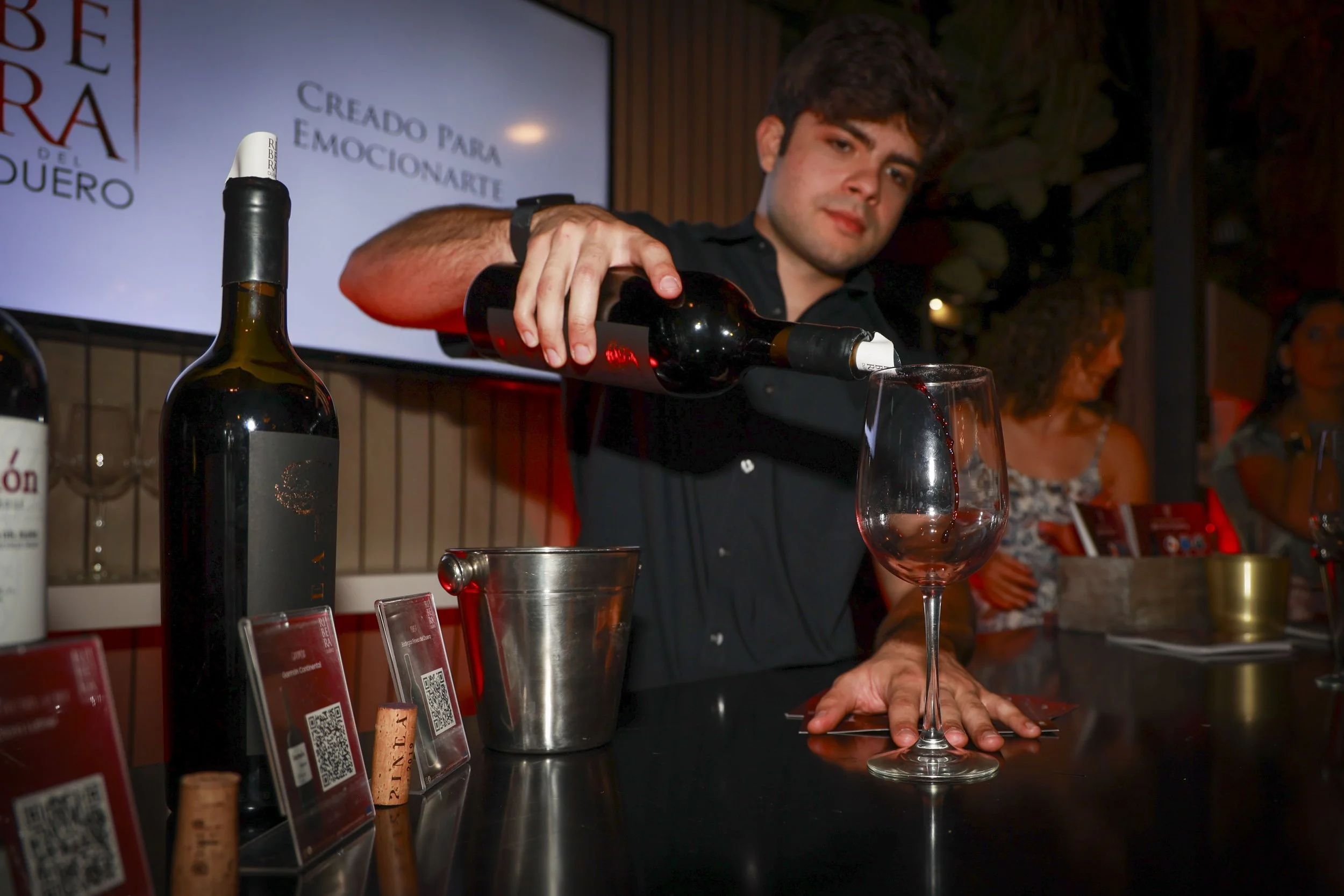 Ribera del Duero  66.JPG