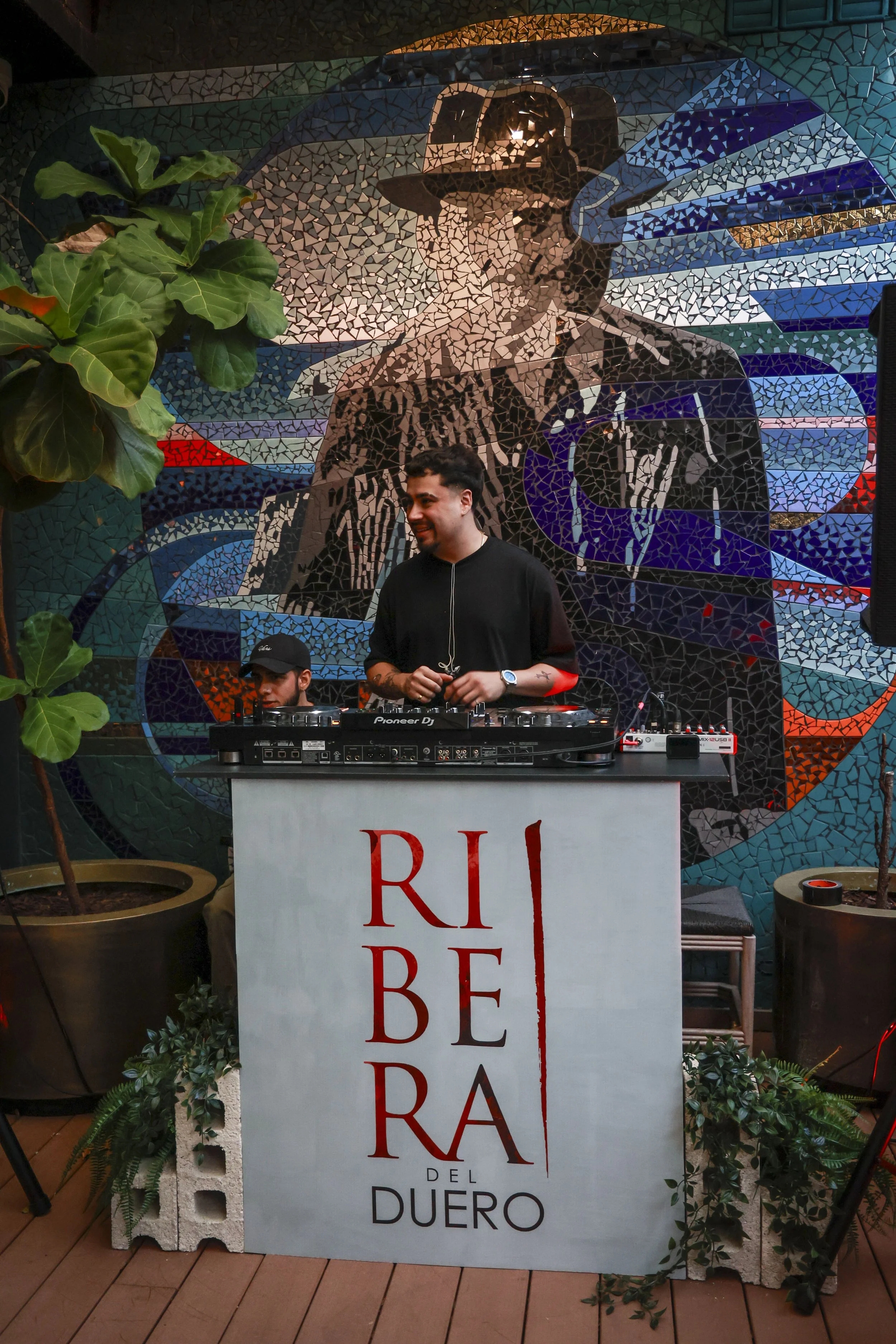 Ribera del Duero  8.JPG