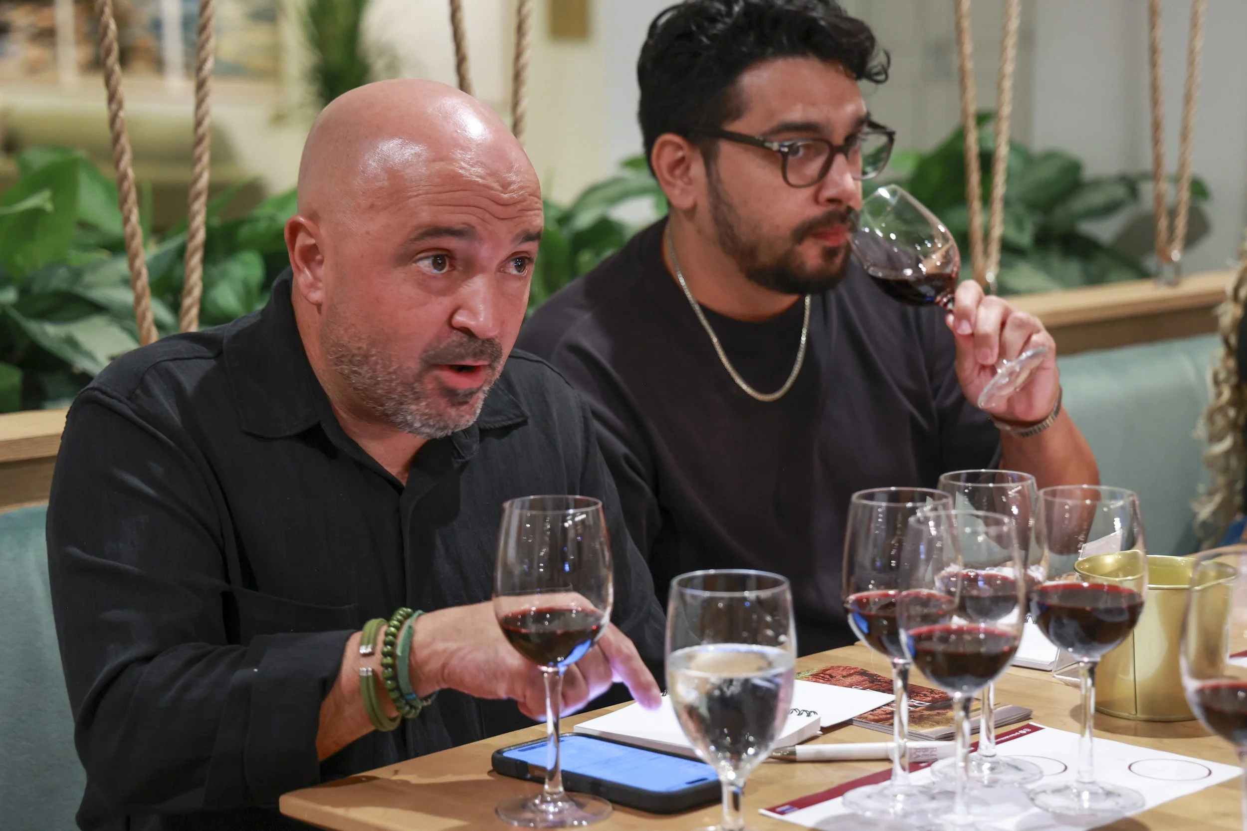 Ribera Duero  32.JPG