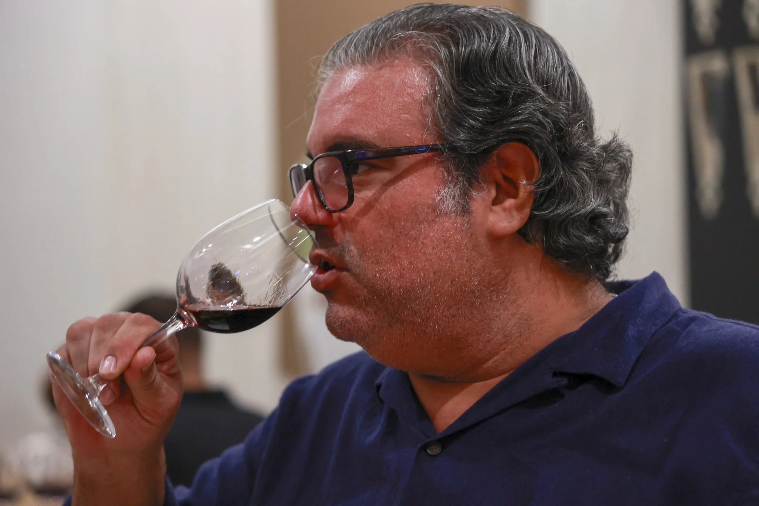 Ribera Duero  68.JPG