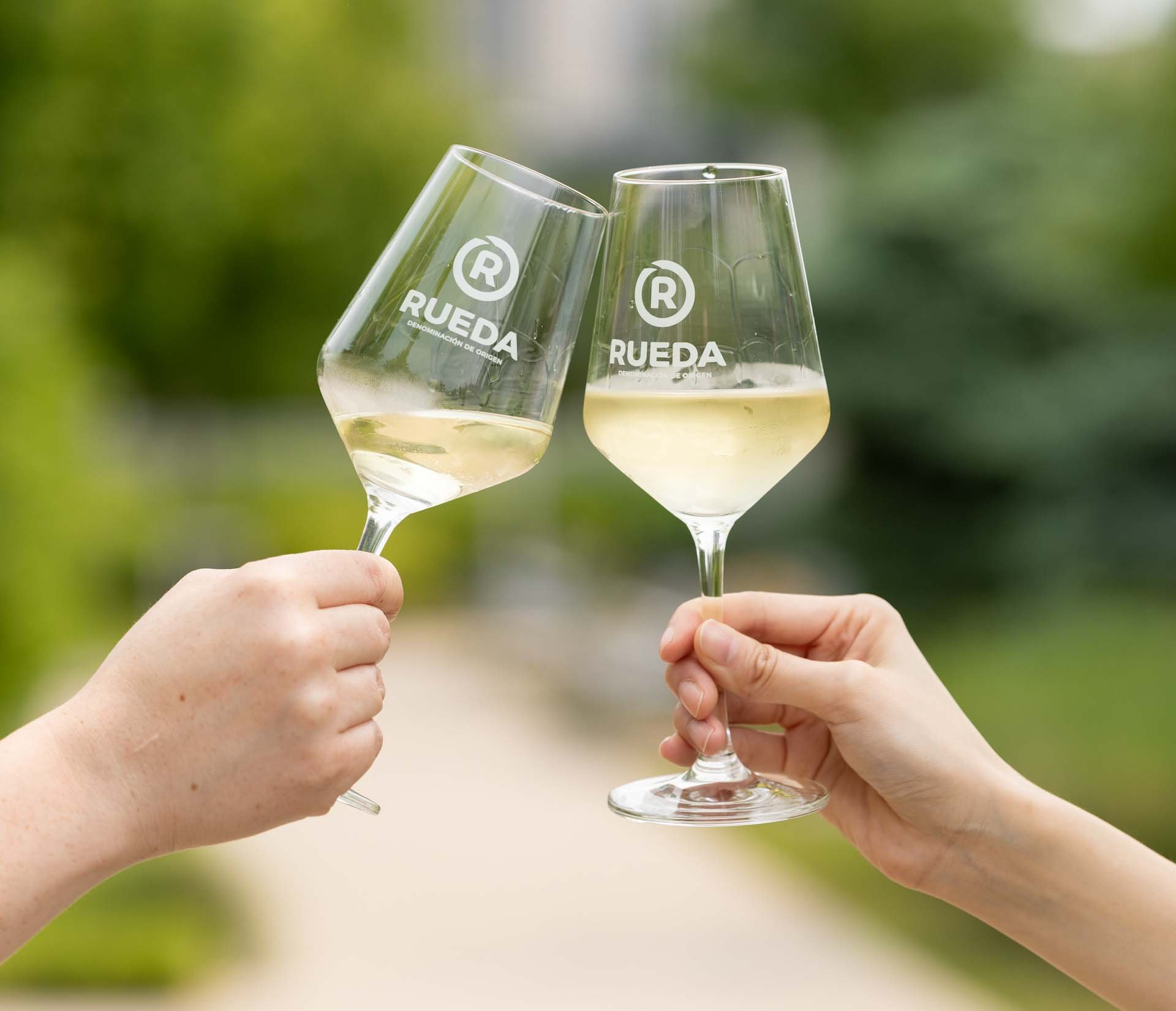 La Denominación de Origen Rueda celebrará la uva verdejo durante todo el mes de junio en Puerto Rico
