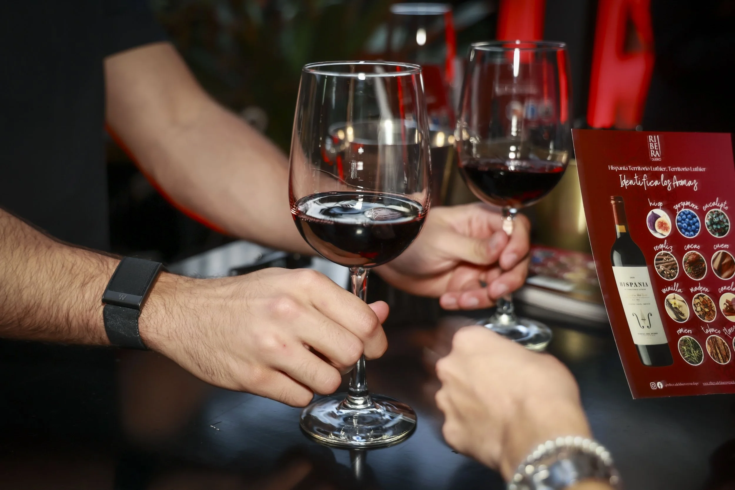Ribera del Duero  26.JPG
