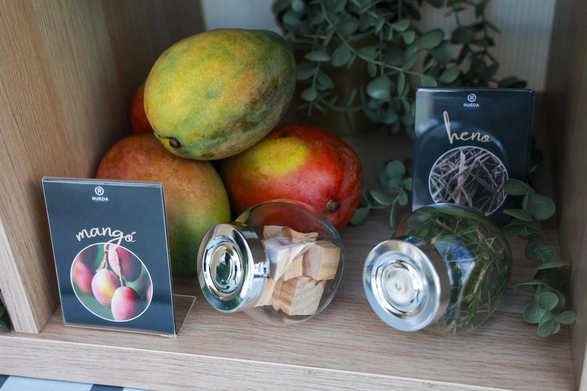 Rueda After Dark_7.JPG